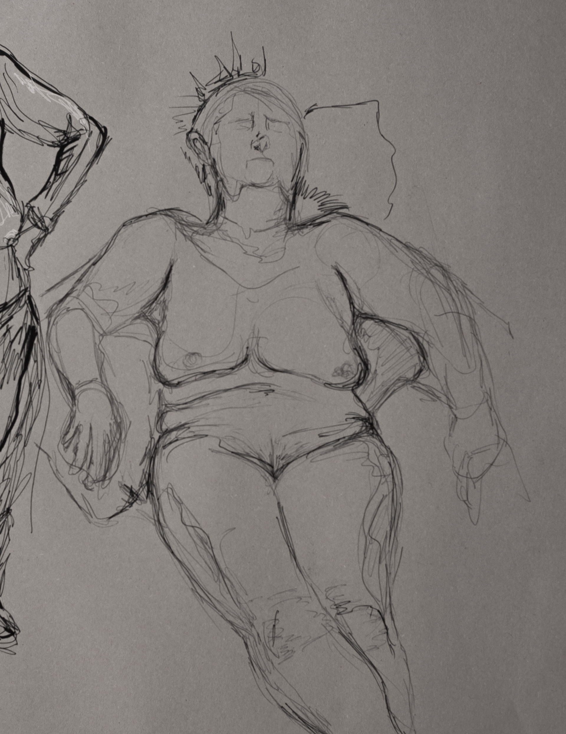 Live Drawing