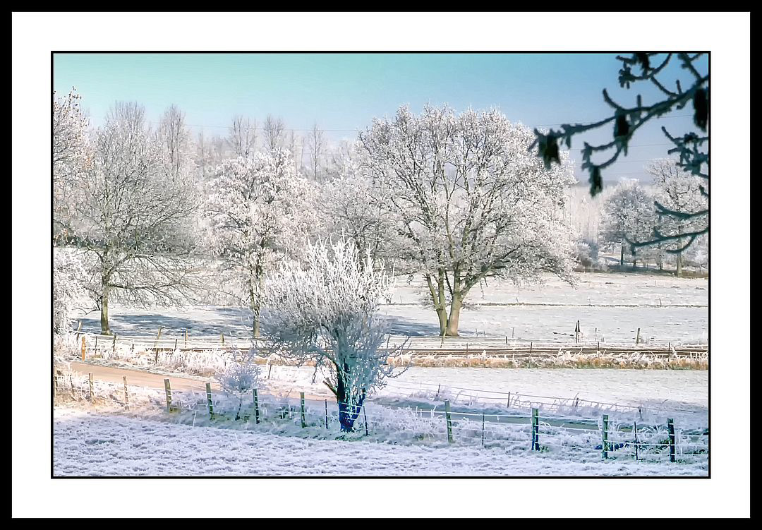 Etangs de Séry-Les-Mézières (Aisne)