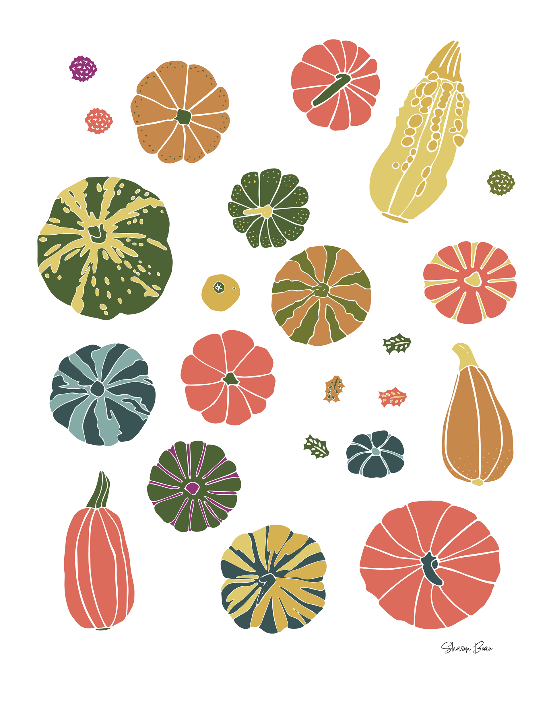 Pumpkins Illustration