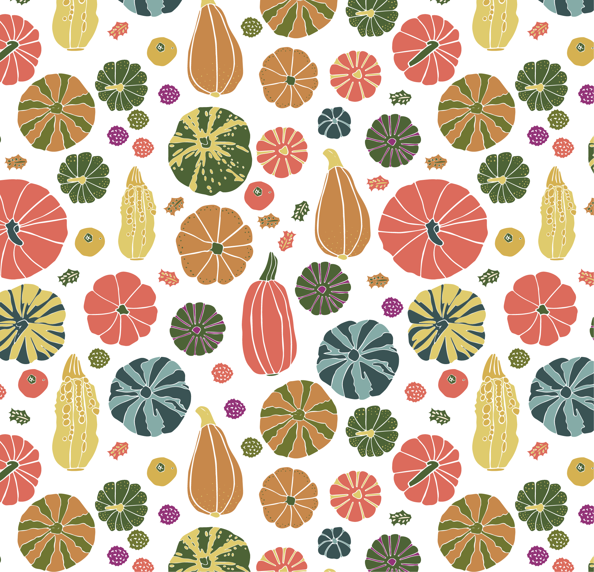Pumpkins on White