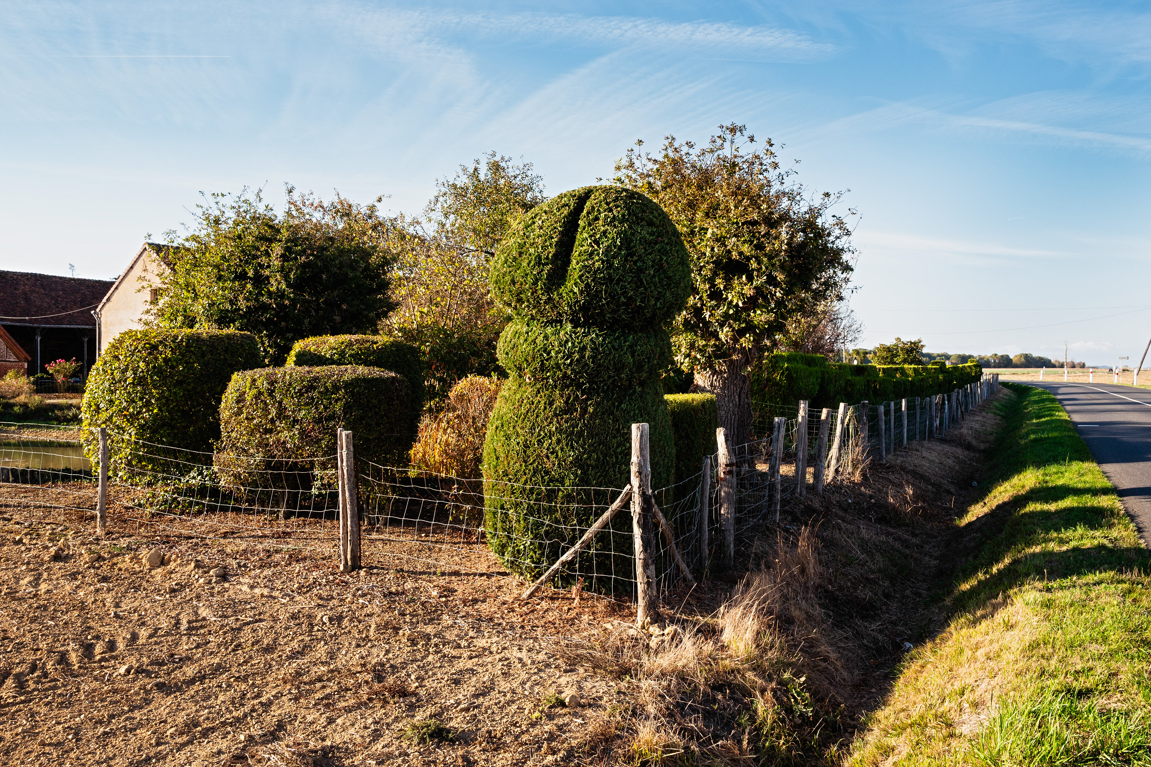 Psy test. Rahart, Loir-et-Cher, octobre 2018.