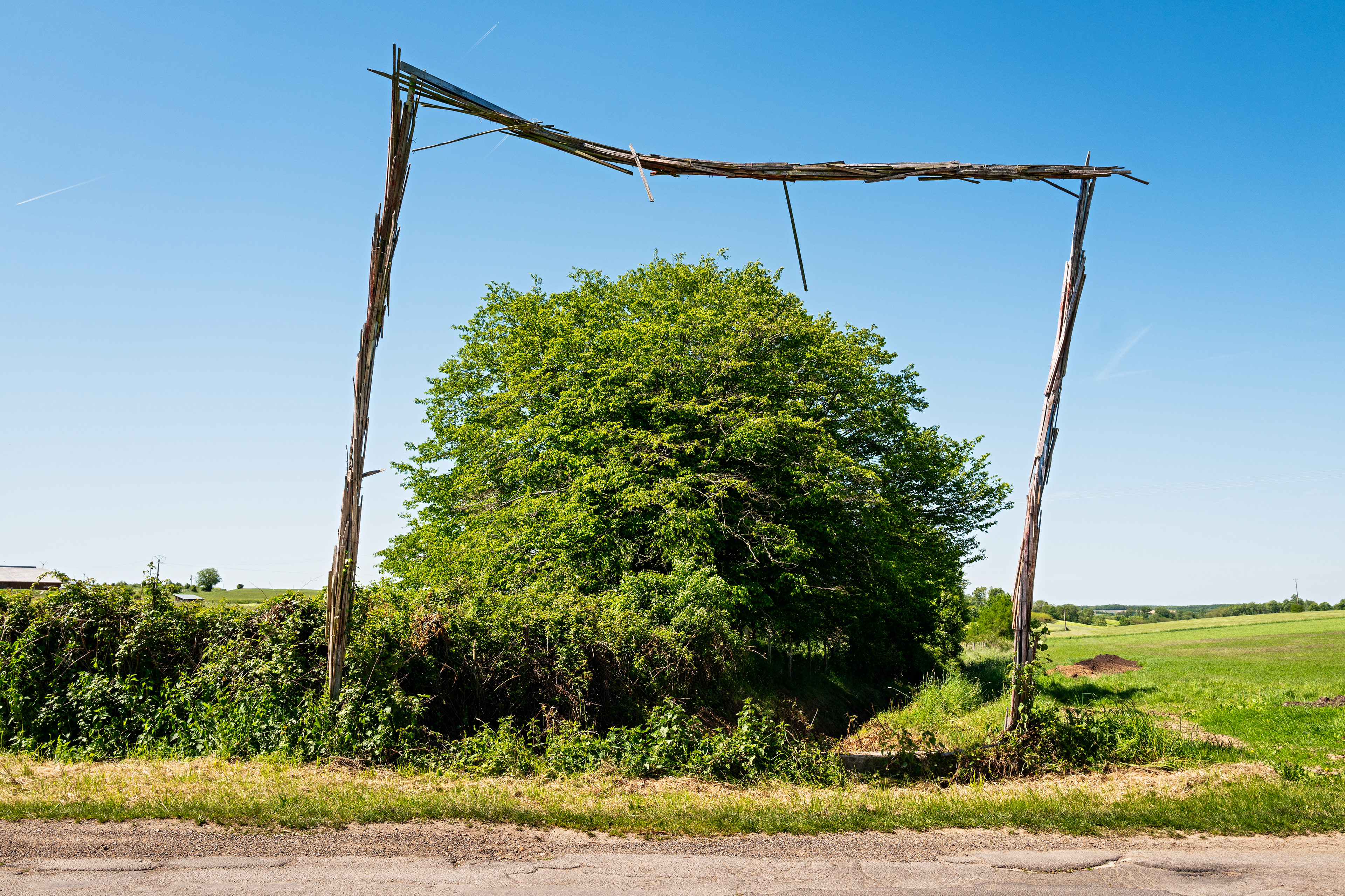 Abîme. Azé, Loir-et-Cher, mai 2019.