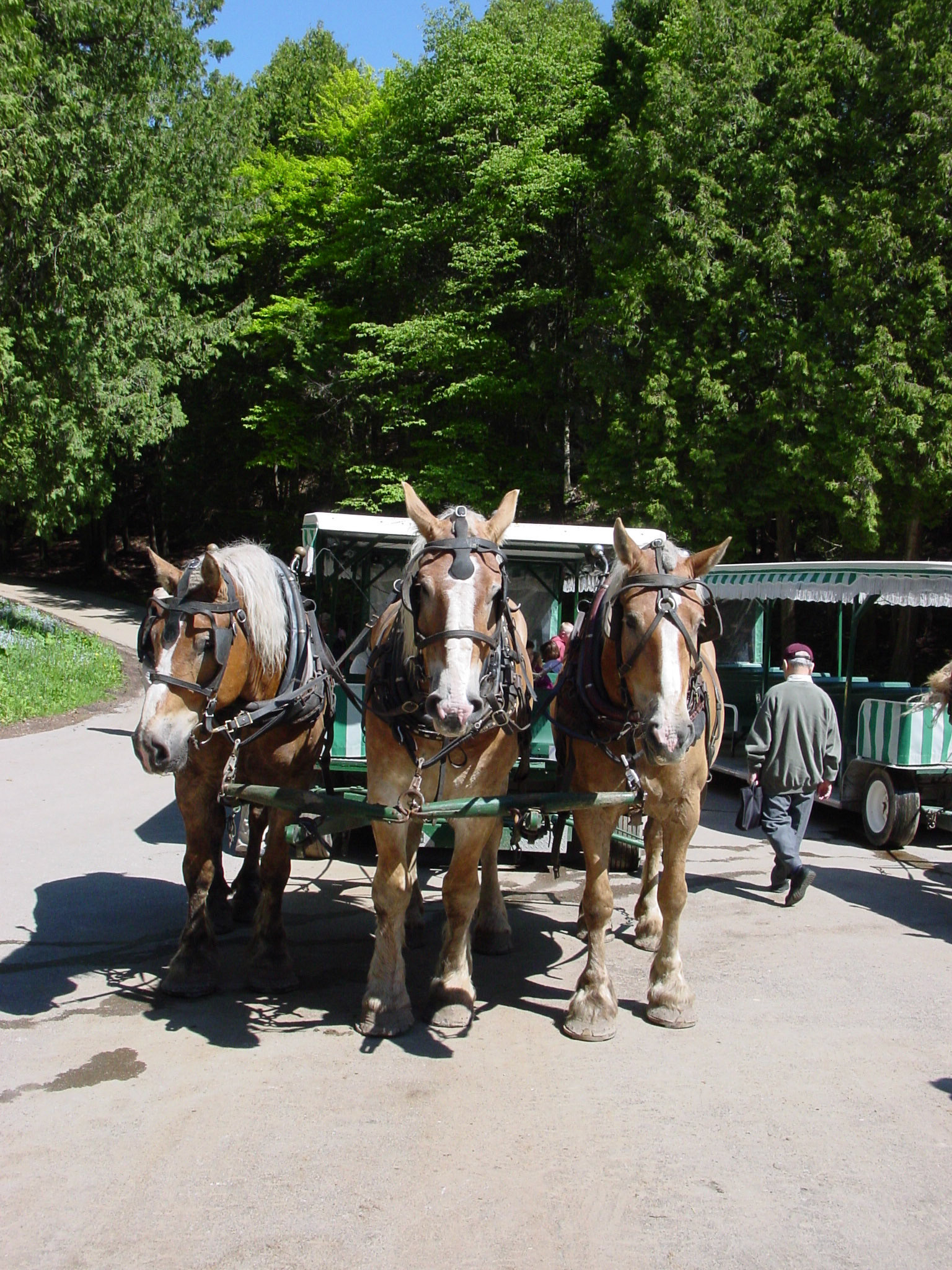 Mackinac Island by horse and carriage