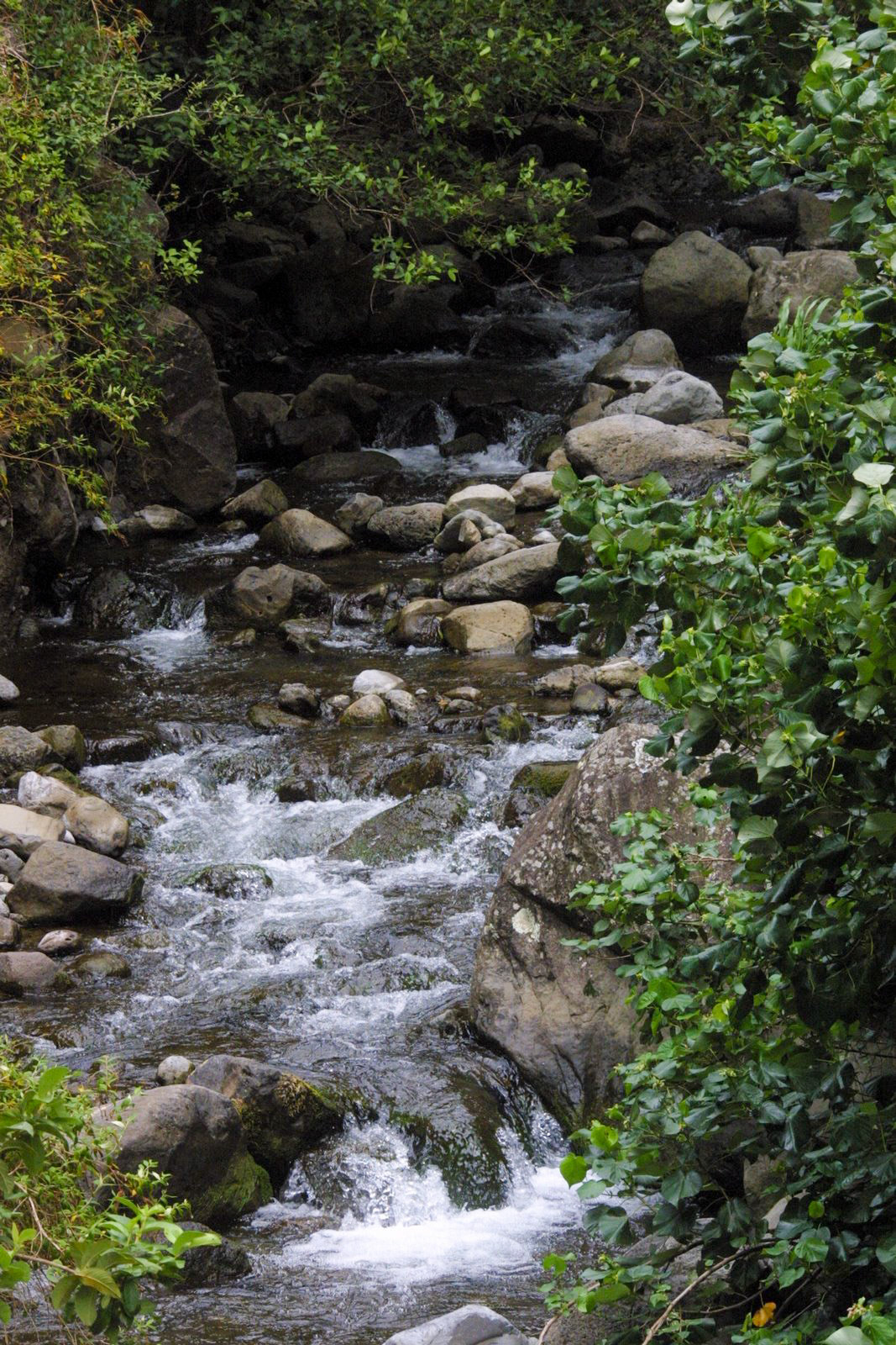 Maui 'Iao Valley State Park Water Fall