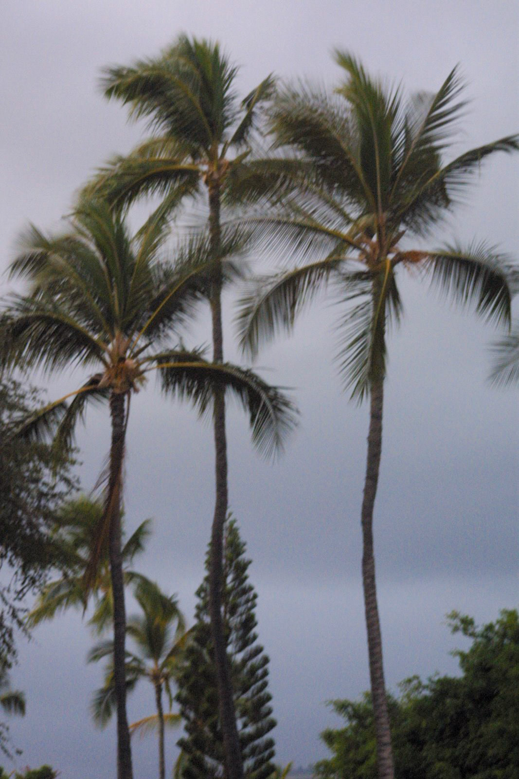 Trilogy Discover Lanai Sunset Sail - Sunset