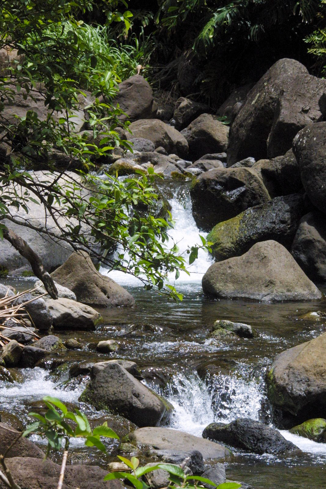 Maui 'Iao Valley State Park