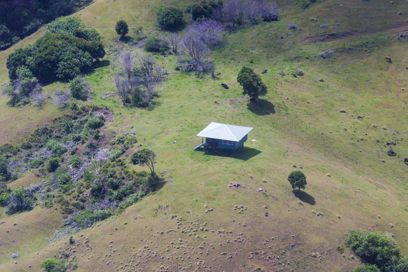 MauiScape Heliocopter (West Maui and Moloka'i) Moloka'ii House