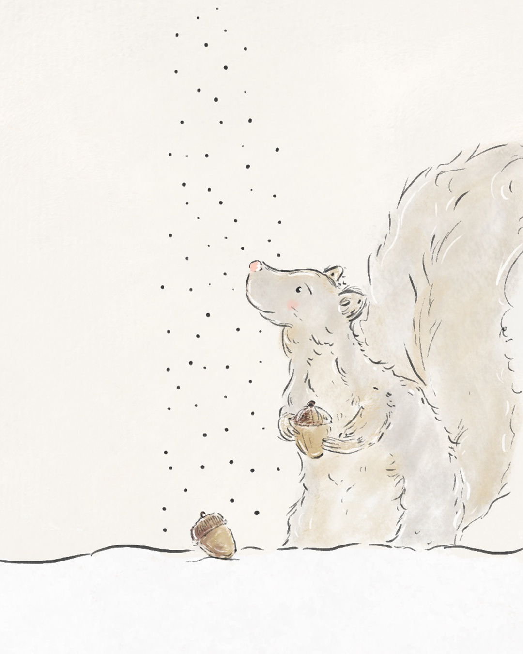 Squirrel | Pencil | Procreate