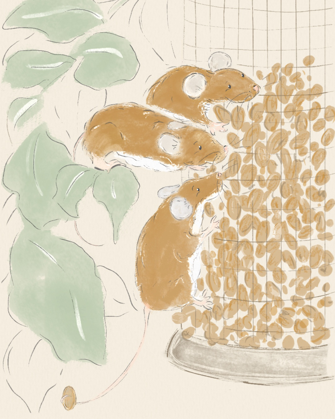 Wood Mice | Pencil | Procreate