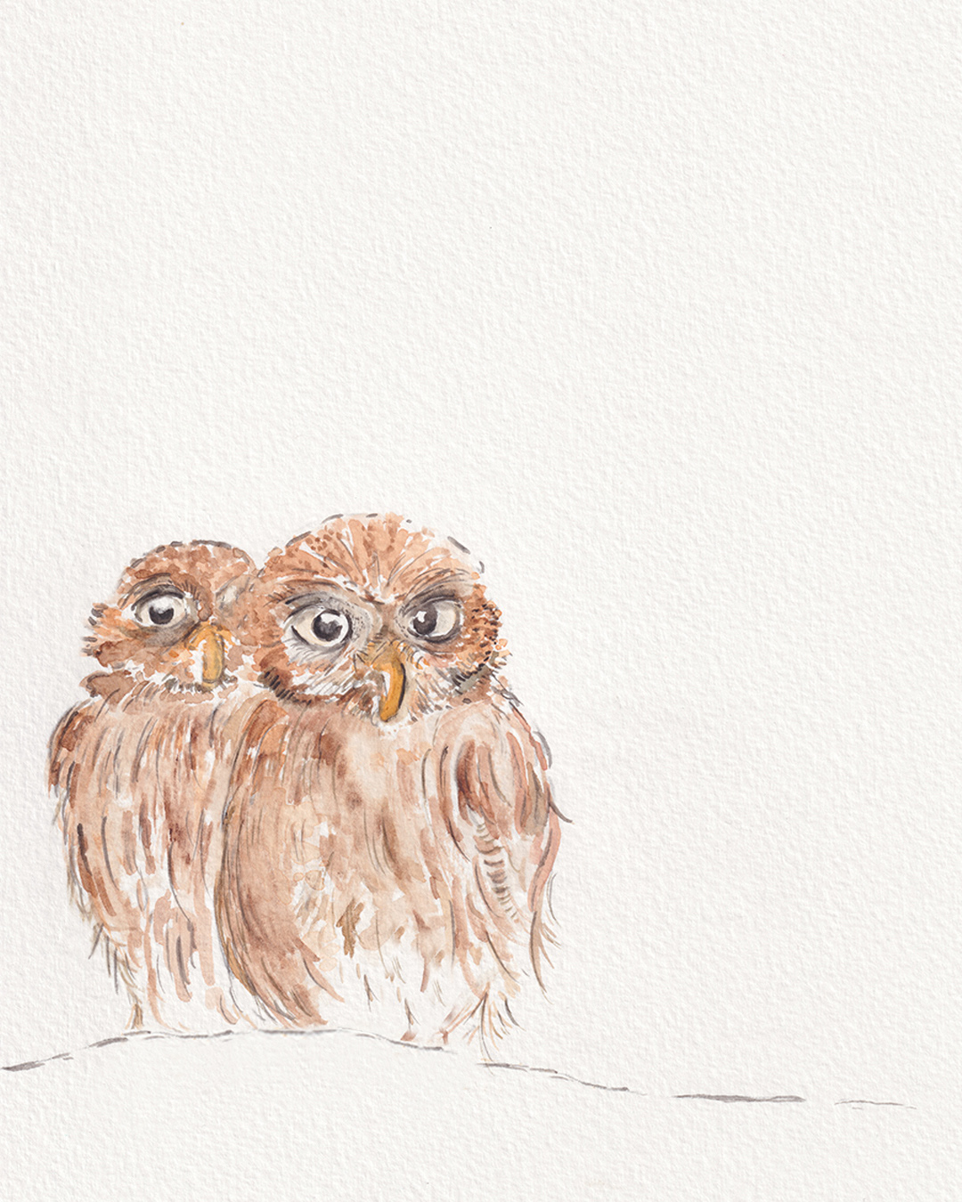 Little Owls | Watercolour