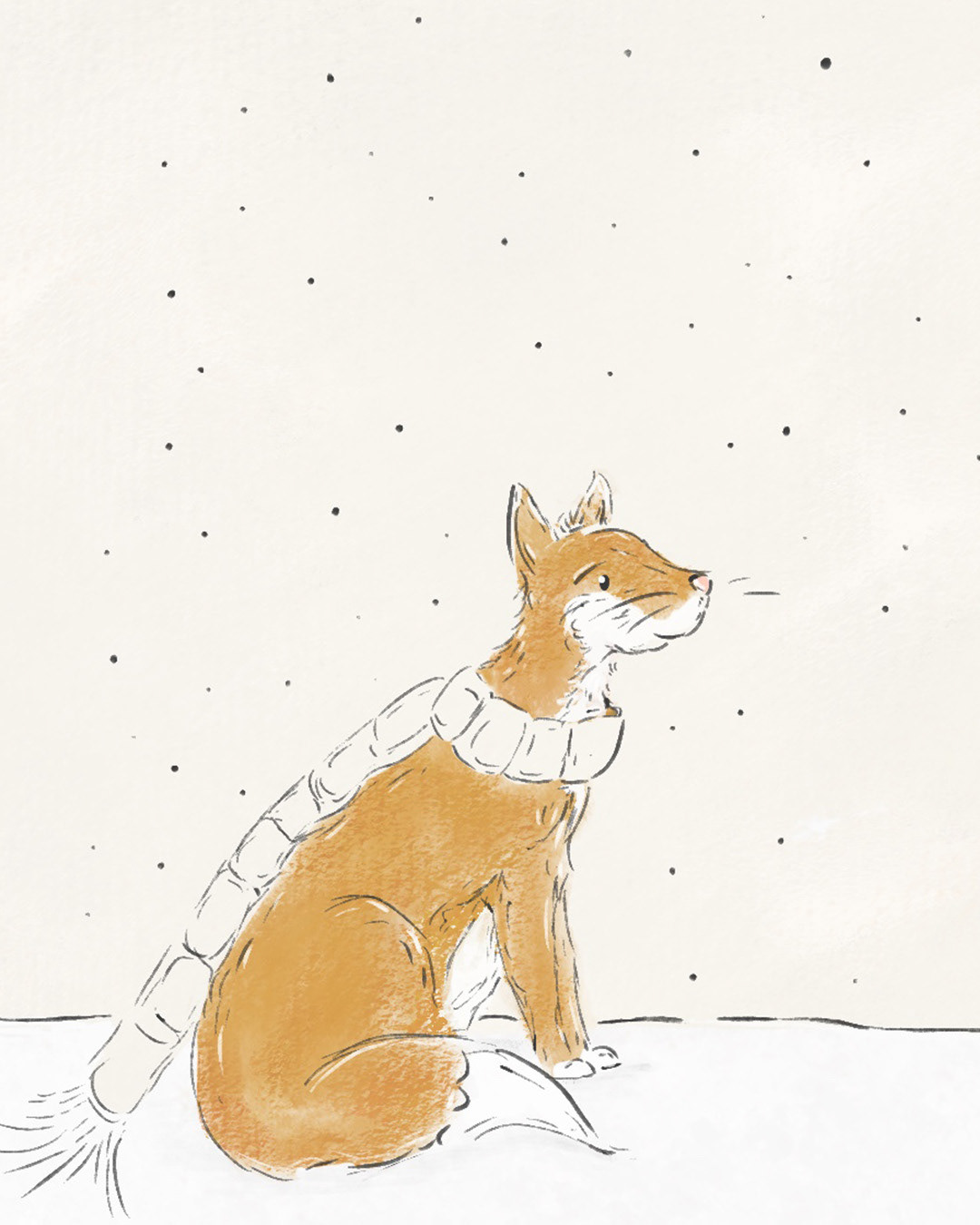 Fox | Pencil | Procreate