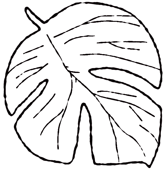 Line Art