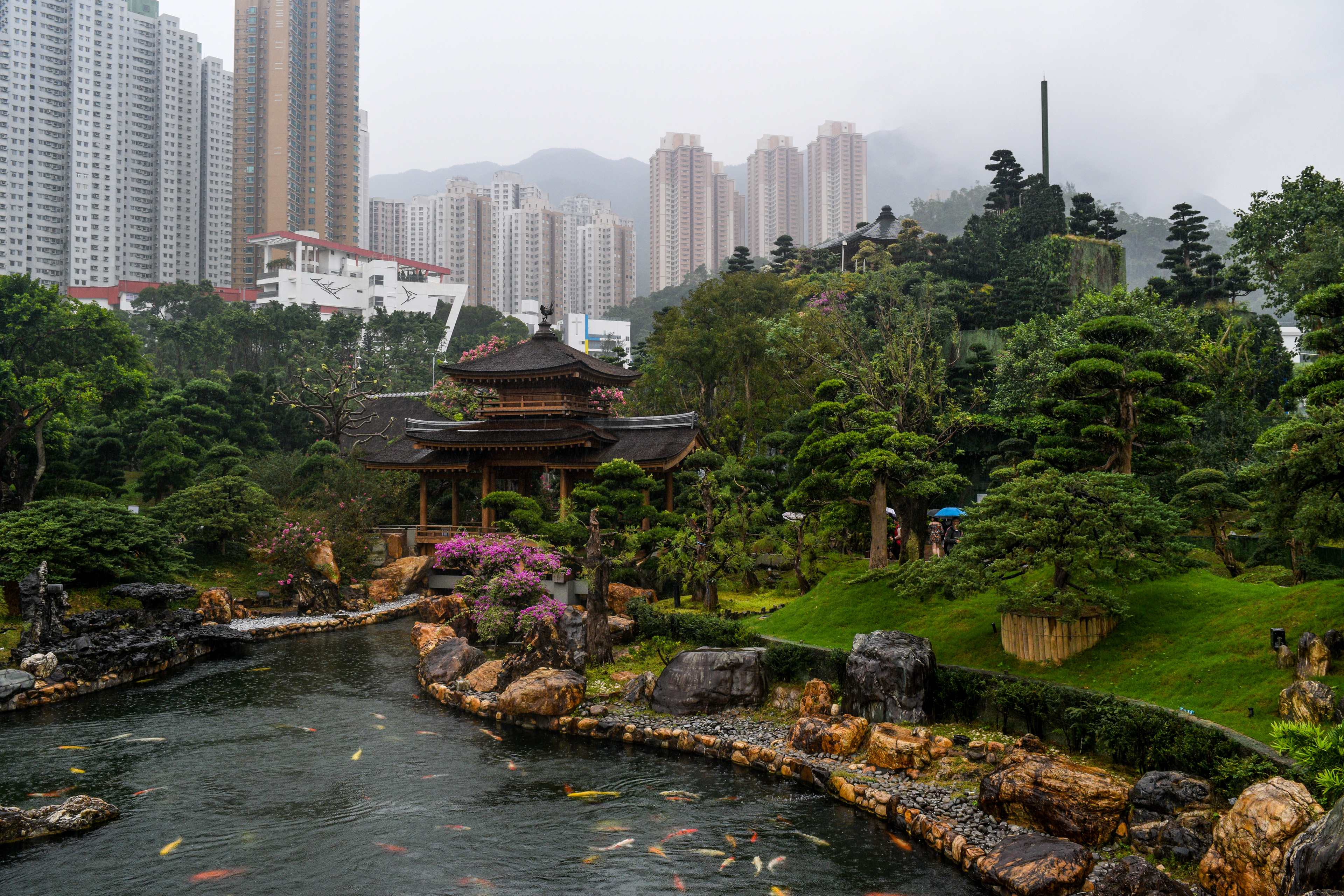Nan Lian Garden, Hong Kong