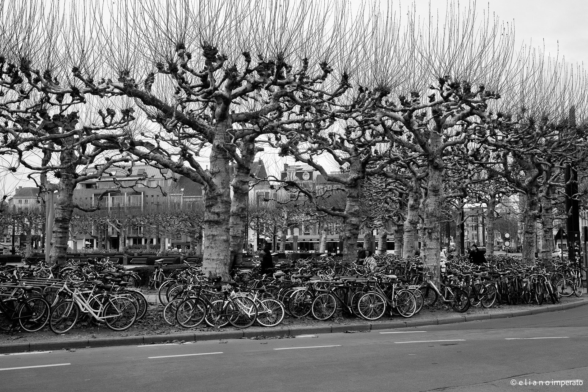 Ghent, Belgium. 2026.