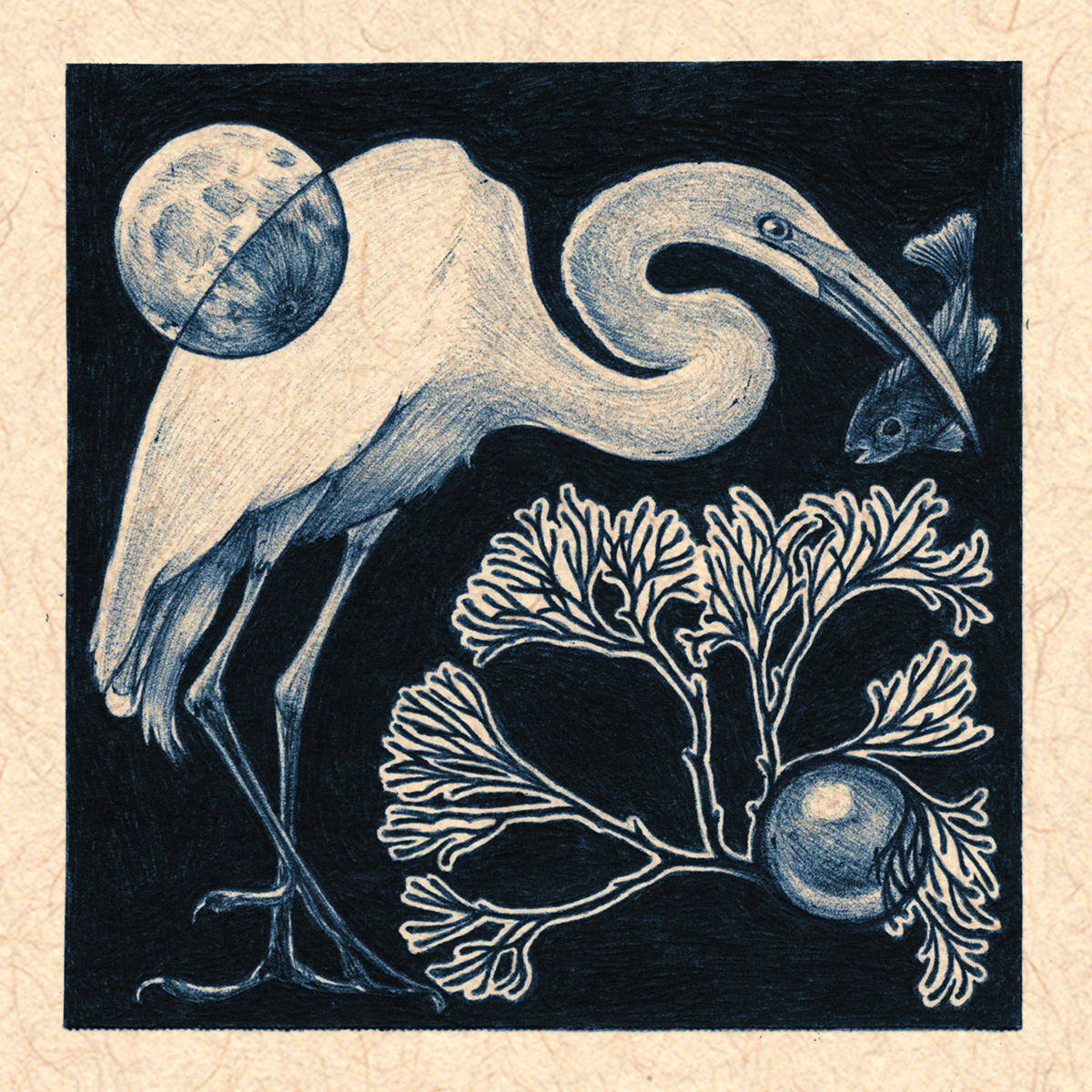 Egret at Night. Ballpoint pen on paper. 2026.