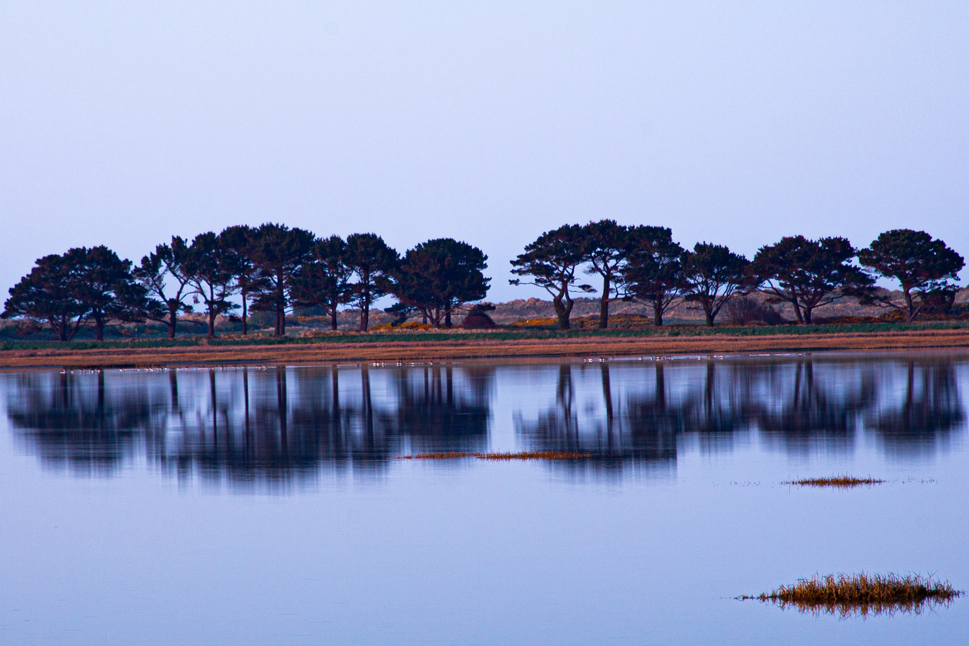 Bull Island, County Dublin