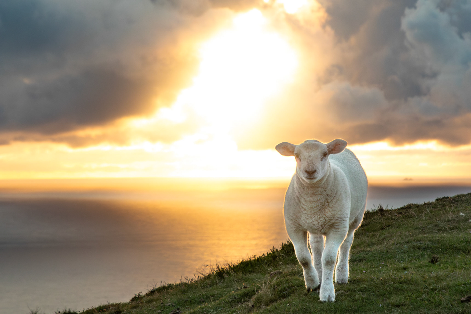 County Kerry