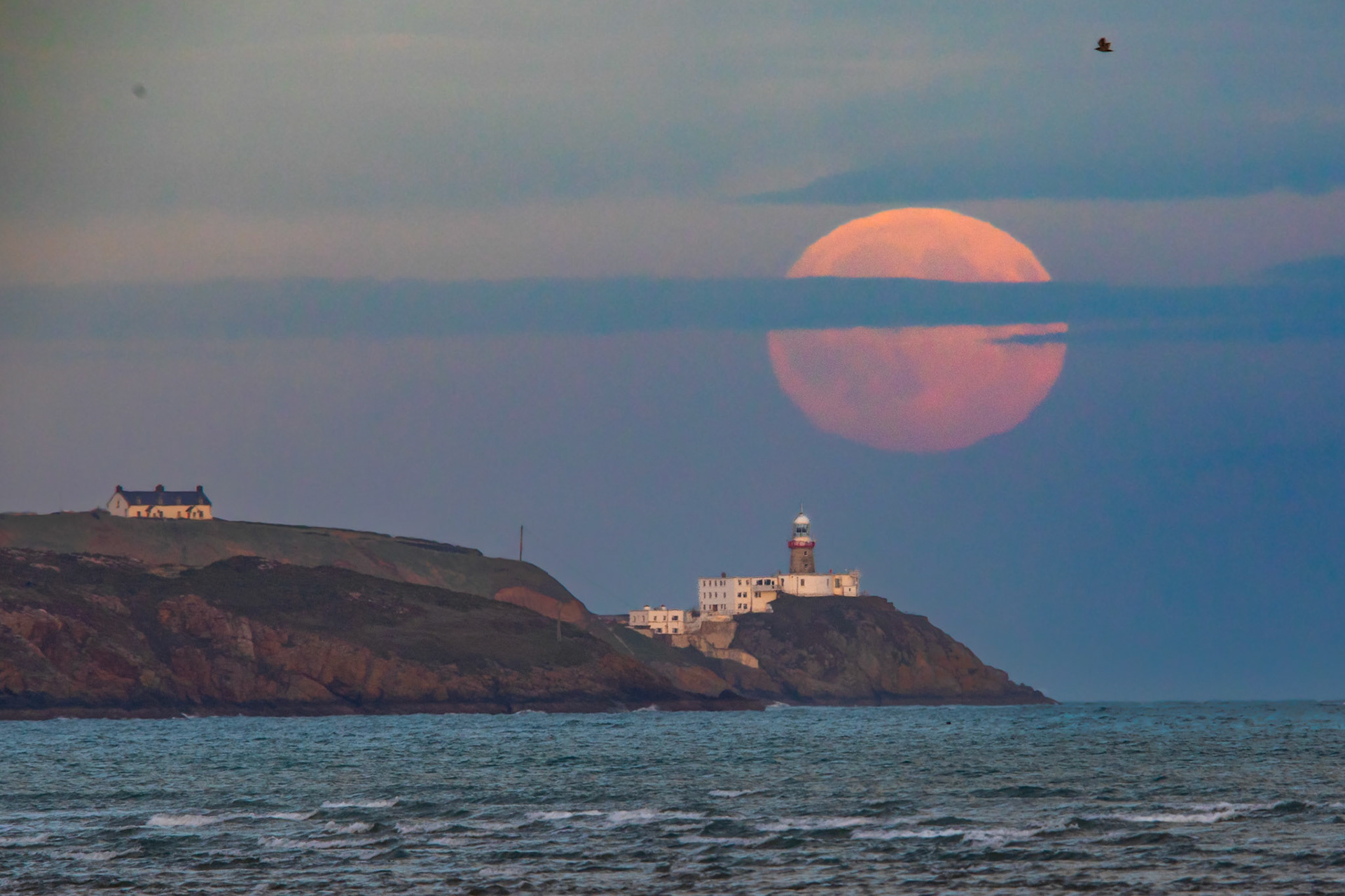 Bull Island, County Dublin