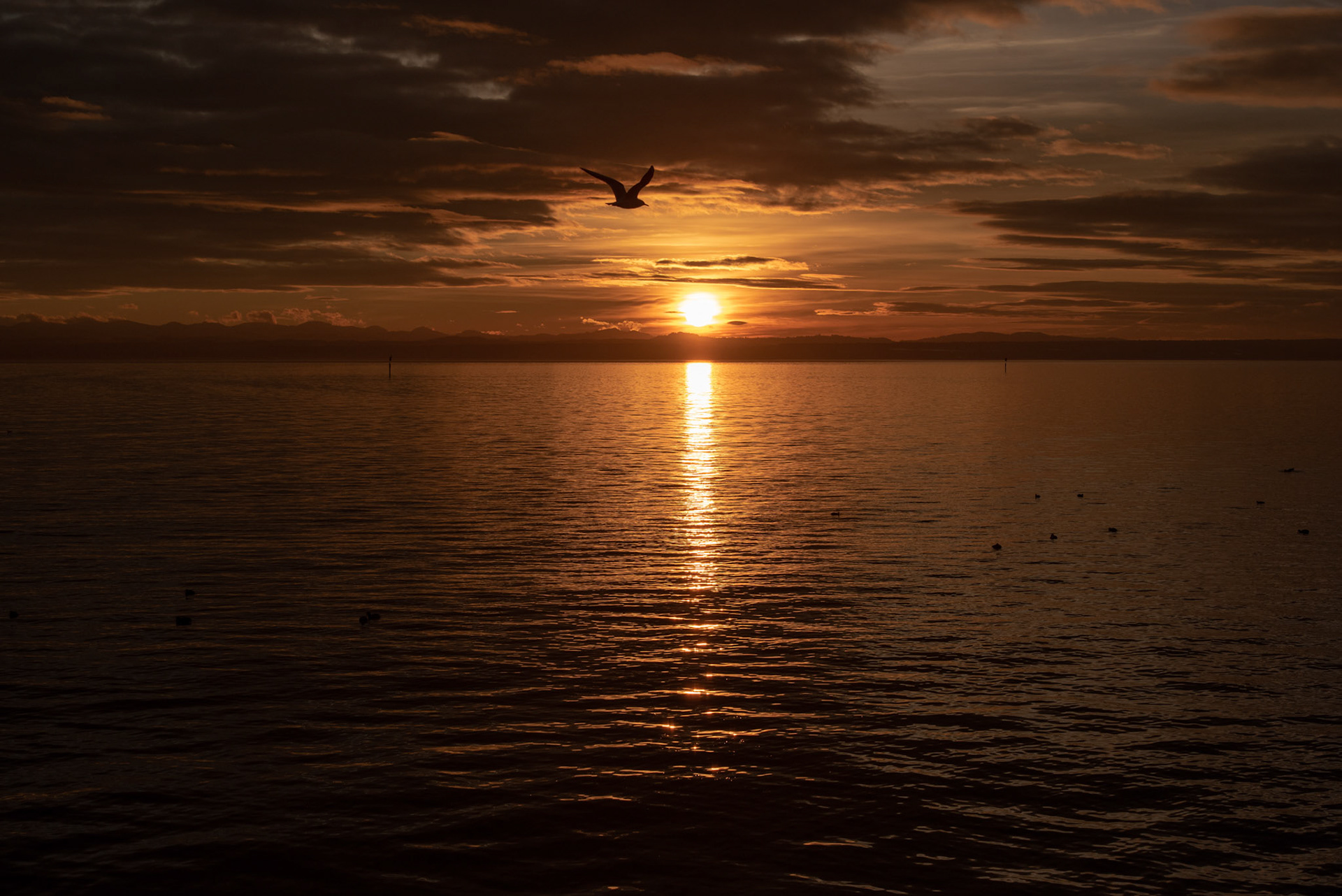 Lake Constance, Germany