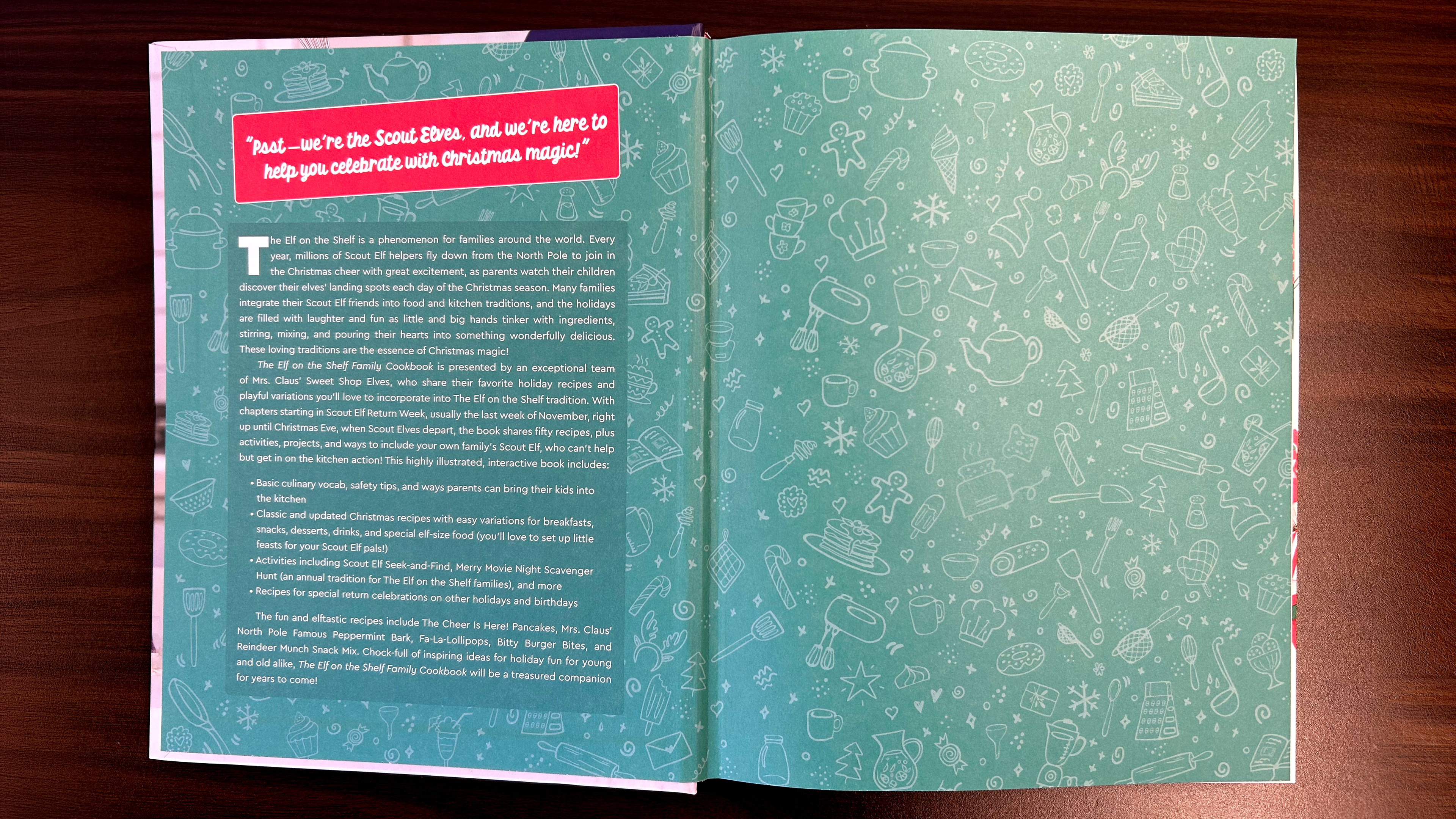 Harper Collins x The Elf on the Shelf Family Cookbook Pattern