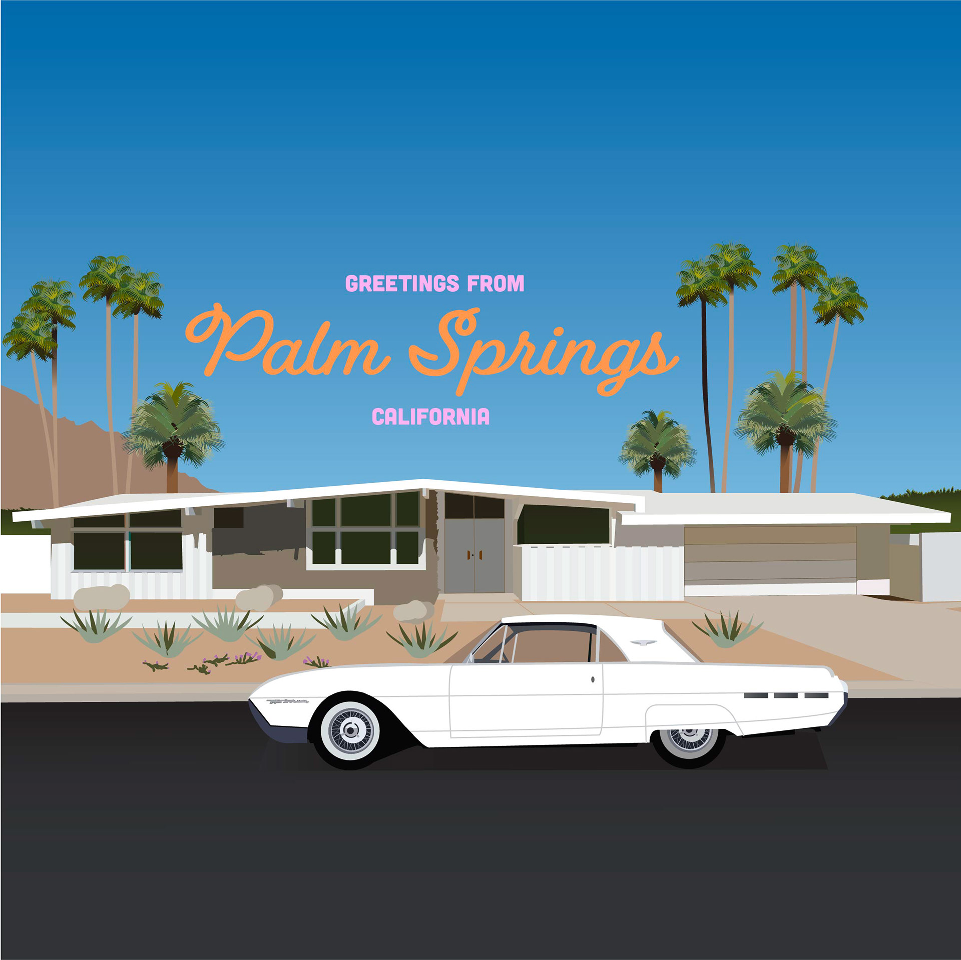 Palm Springs Illustration