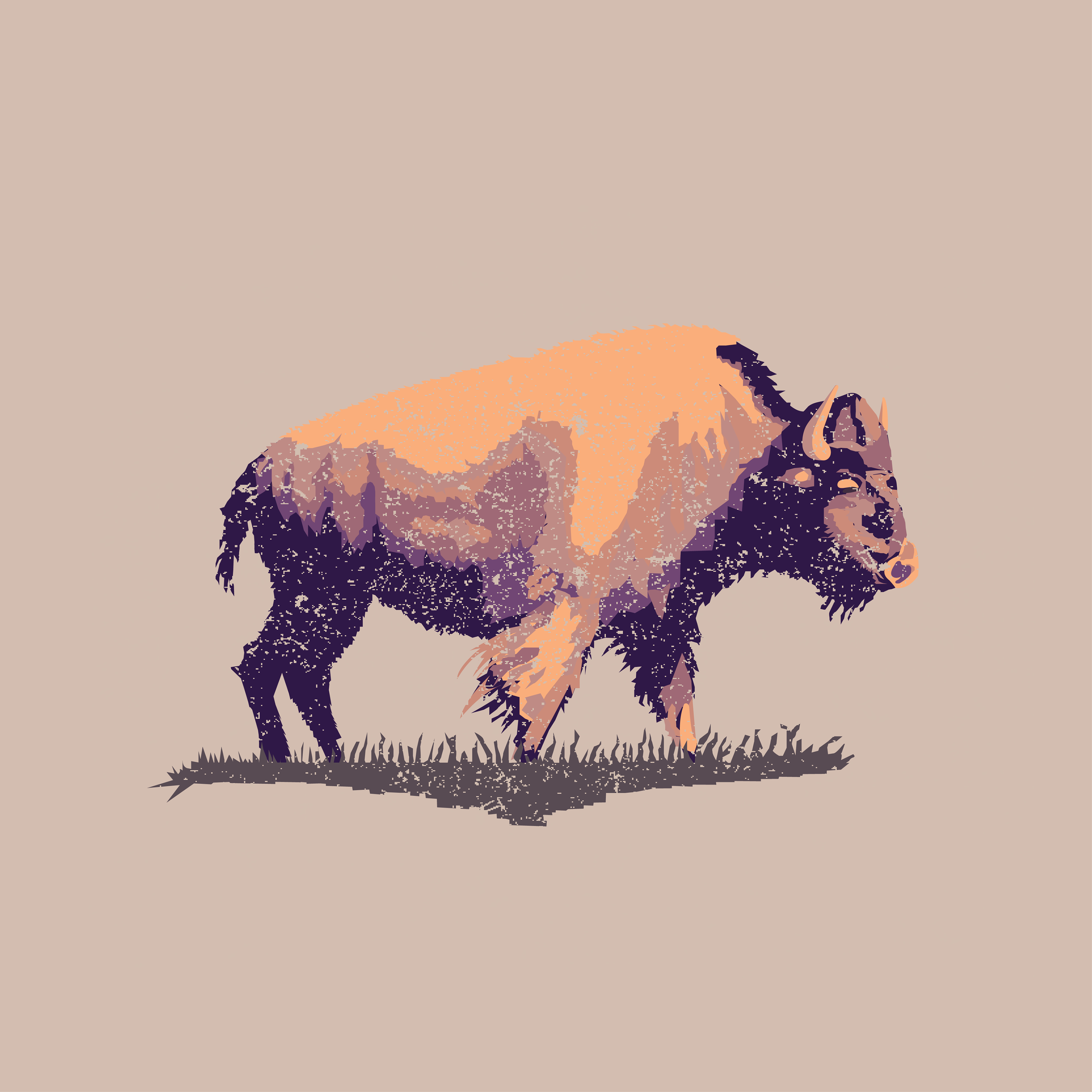 Bison Illustration