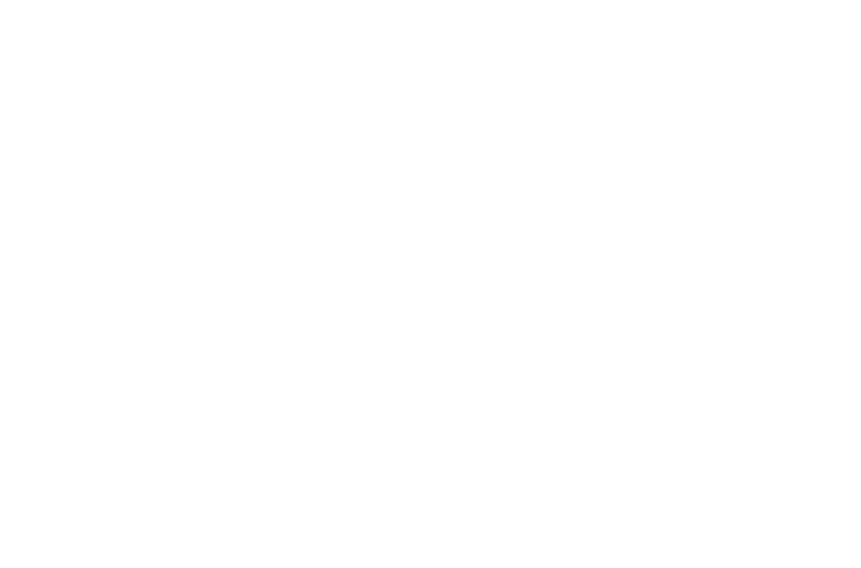 Full Story | Digital Collective