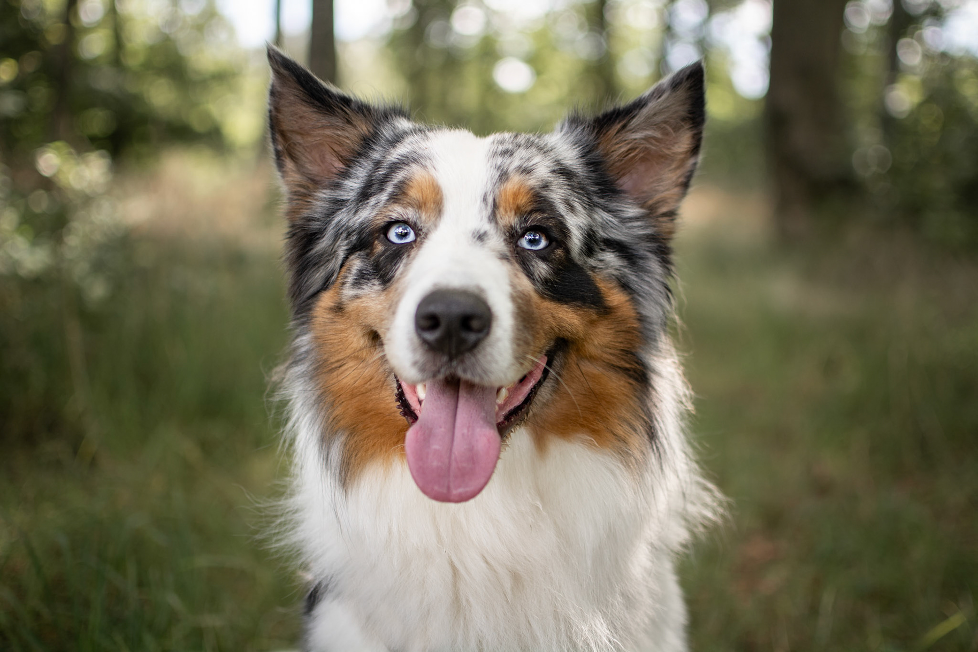 Balu