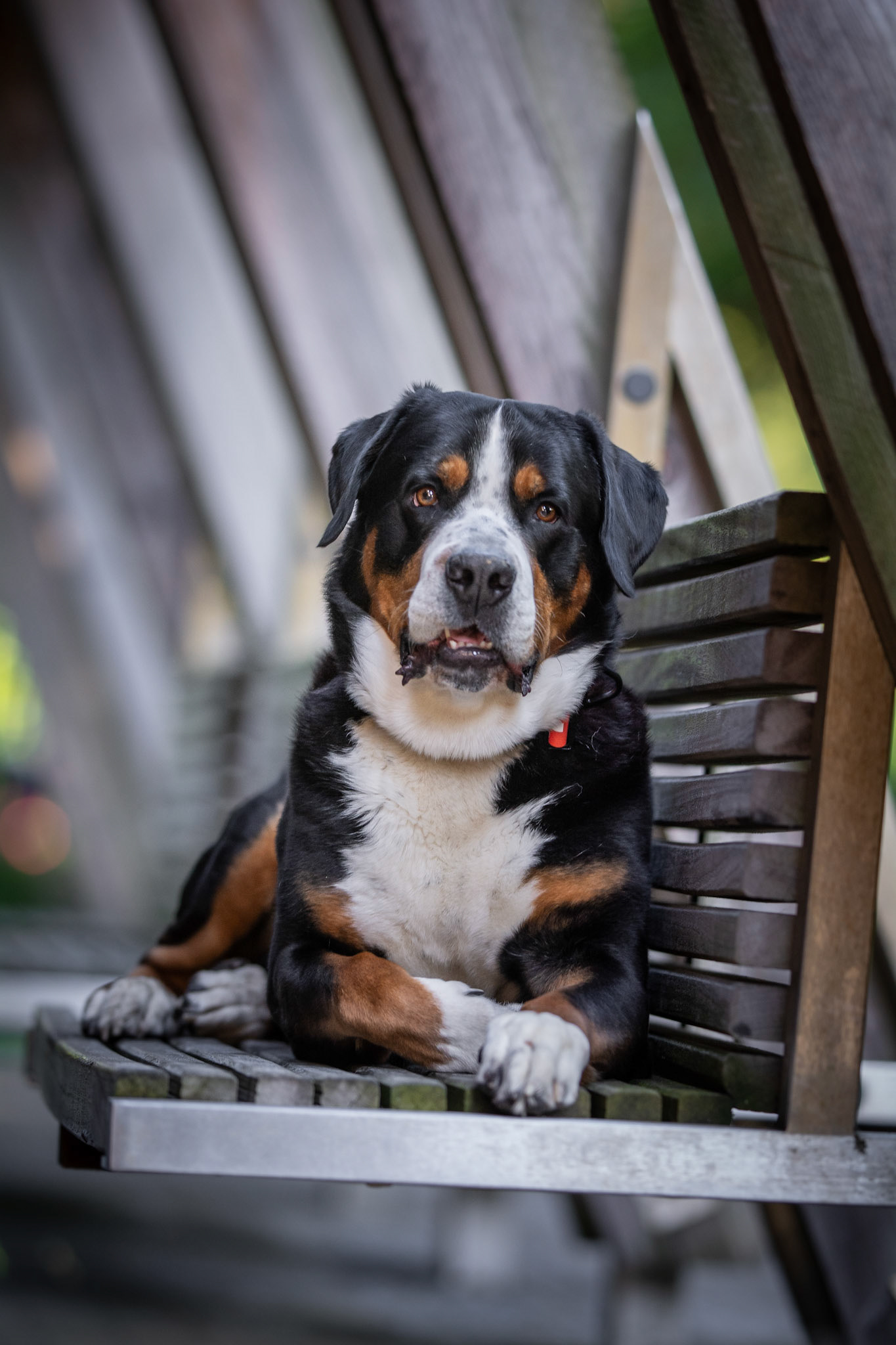 Bruno