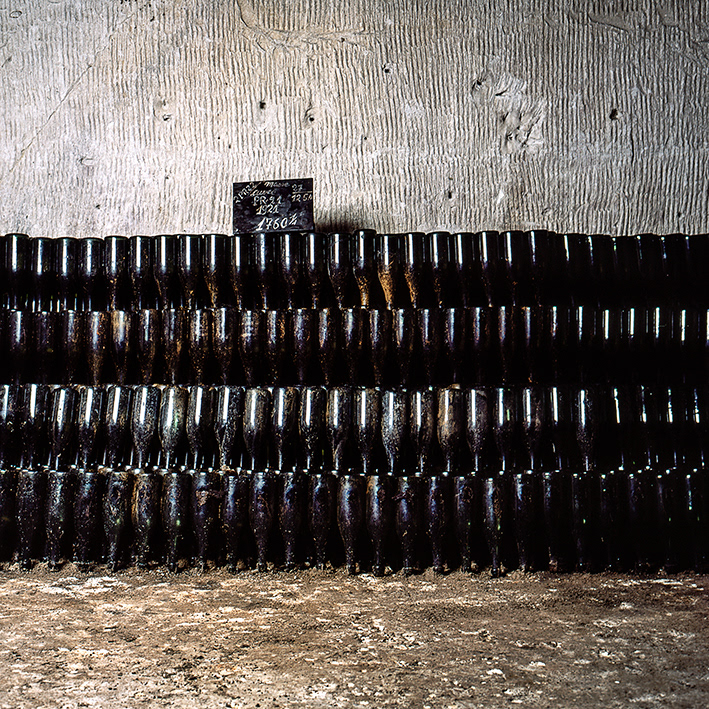 Epernay, caves champagne Pol Roger.