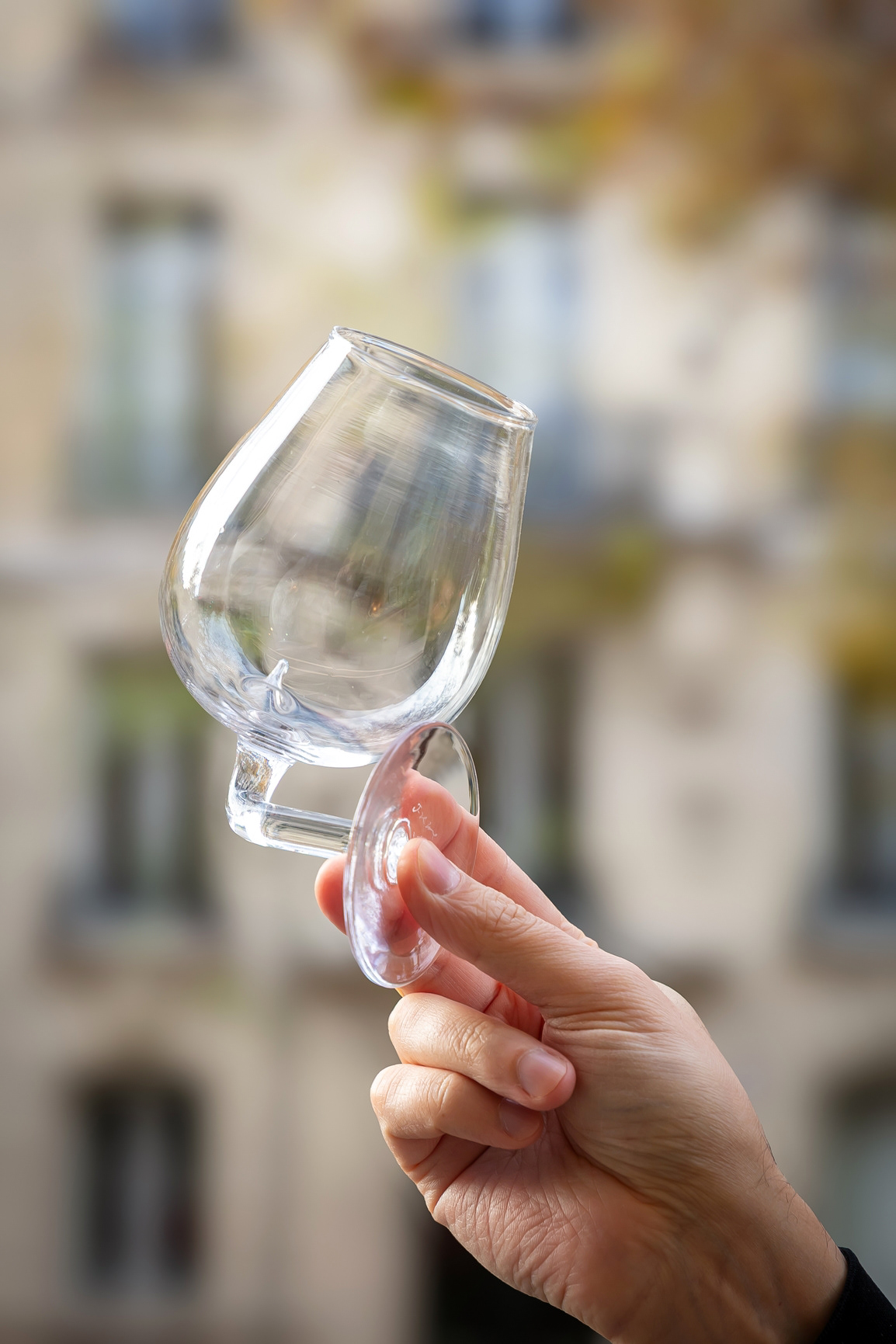 Verre "Pic à Vin" - 50€