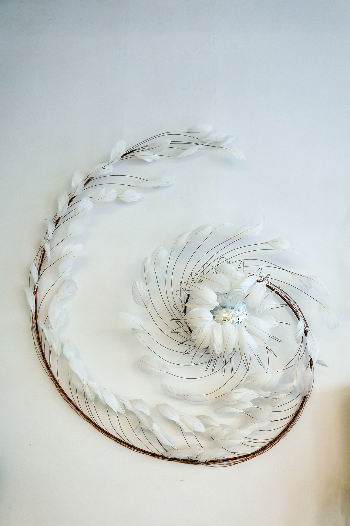 Miroir en plume - 1800€