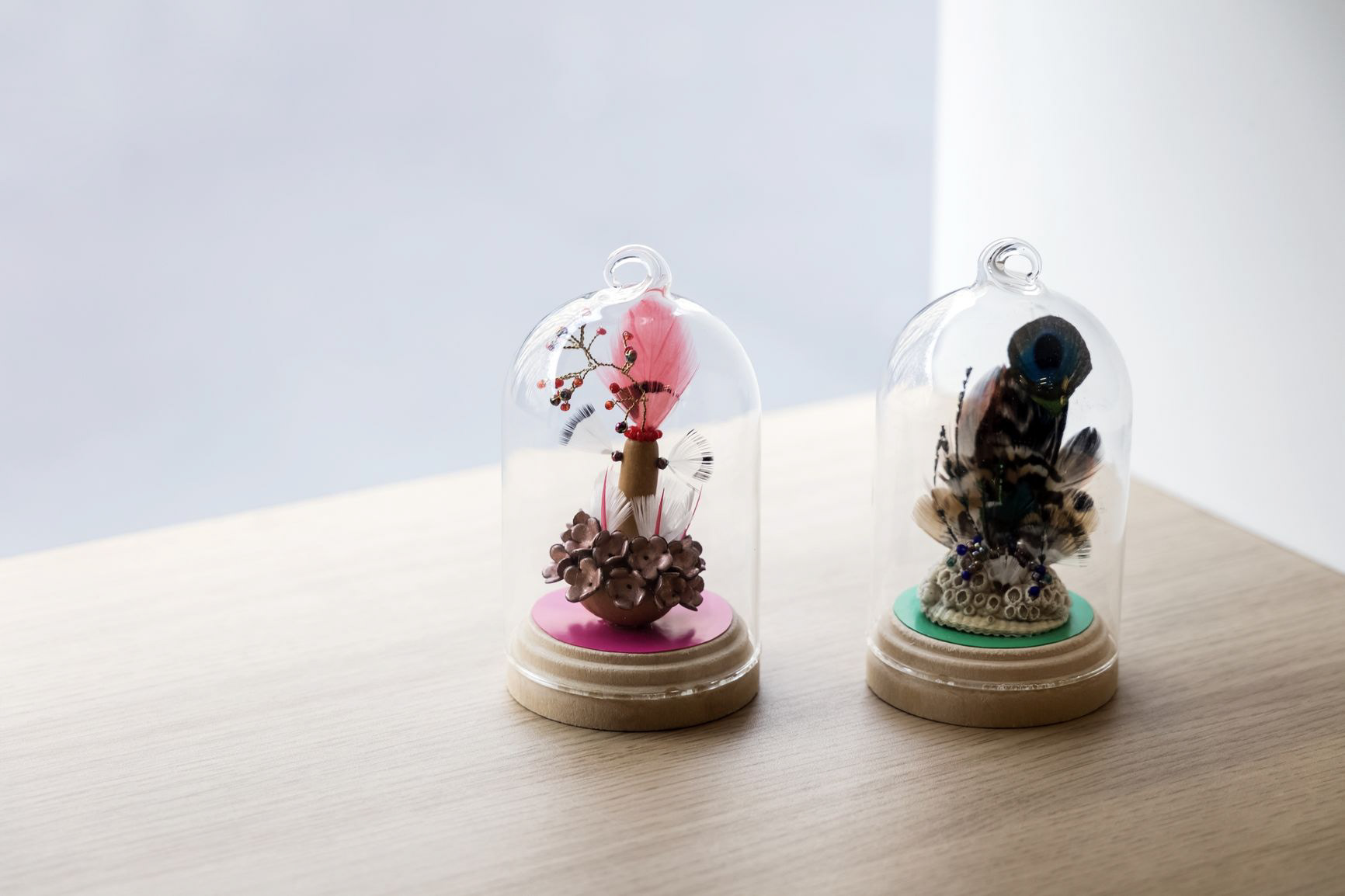Plume de Curiosité - 70€