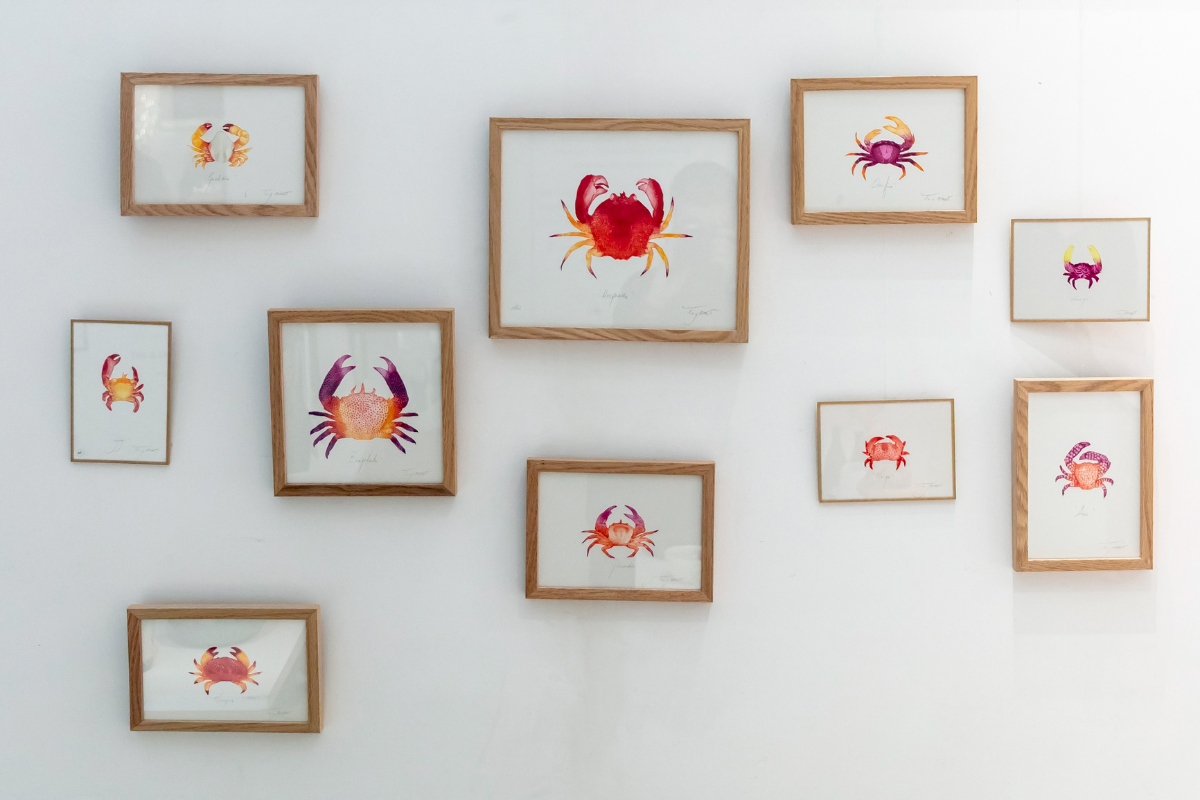 Gravure crabe - à partir de 40€