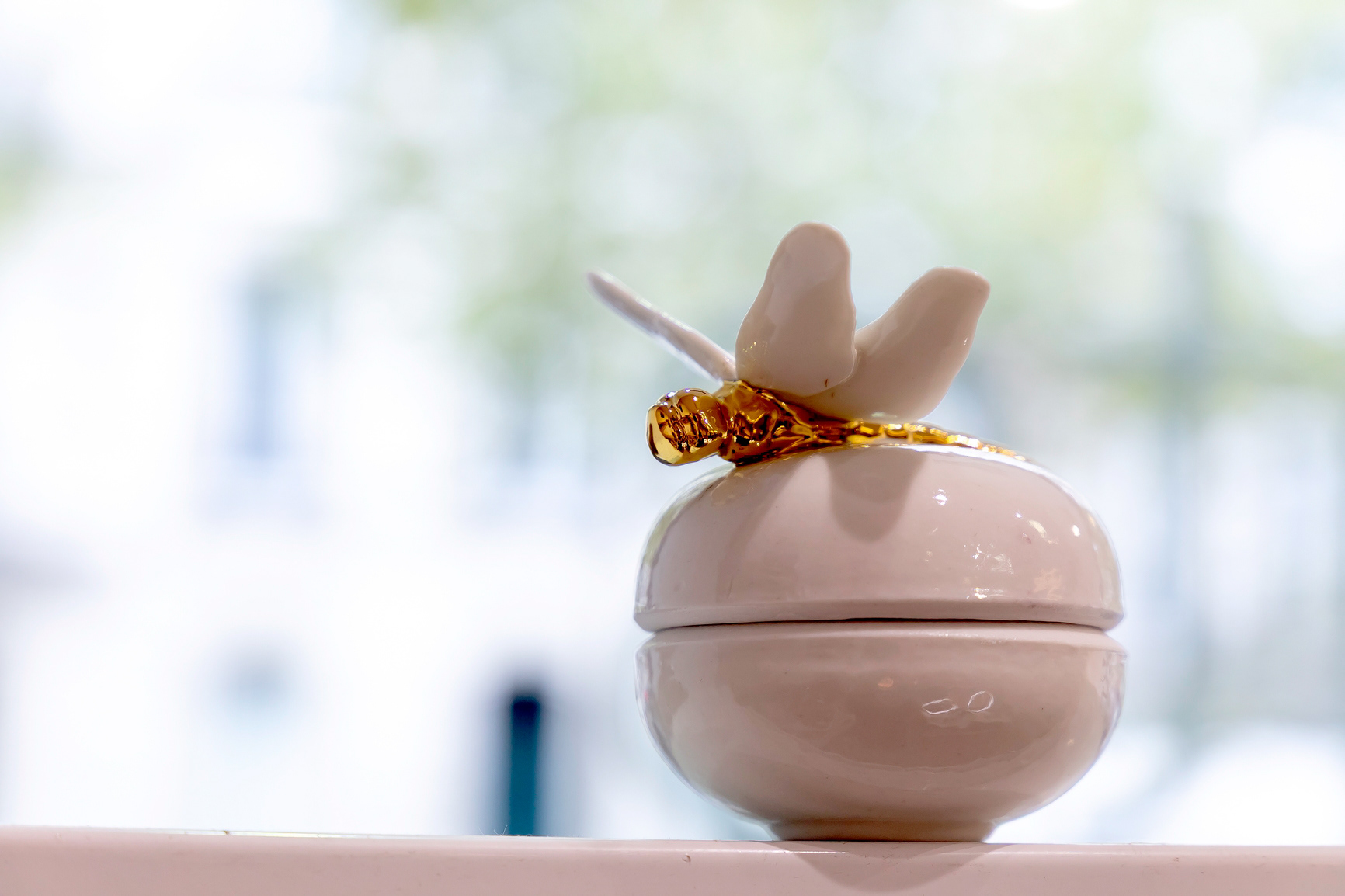 Boite ronde libellule en porcelaine - 60€