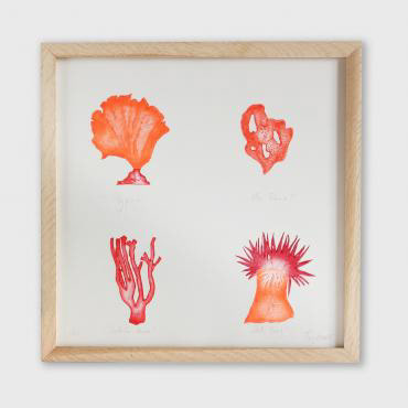 Gravure Coraux - 90€