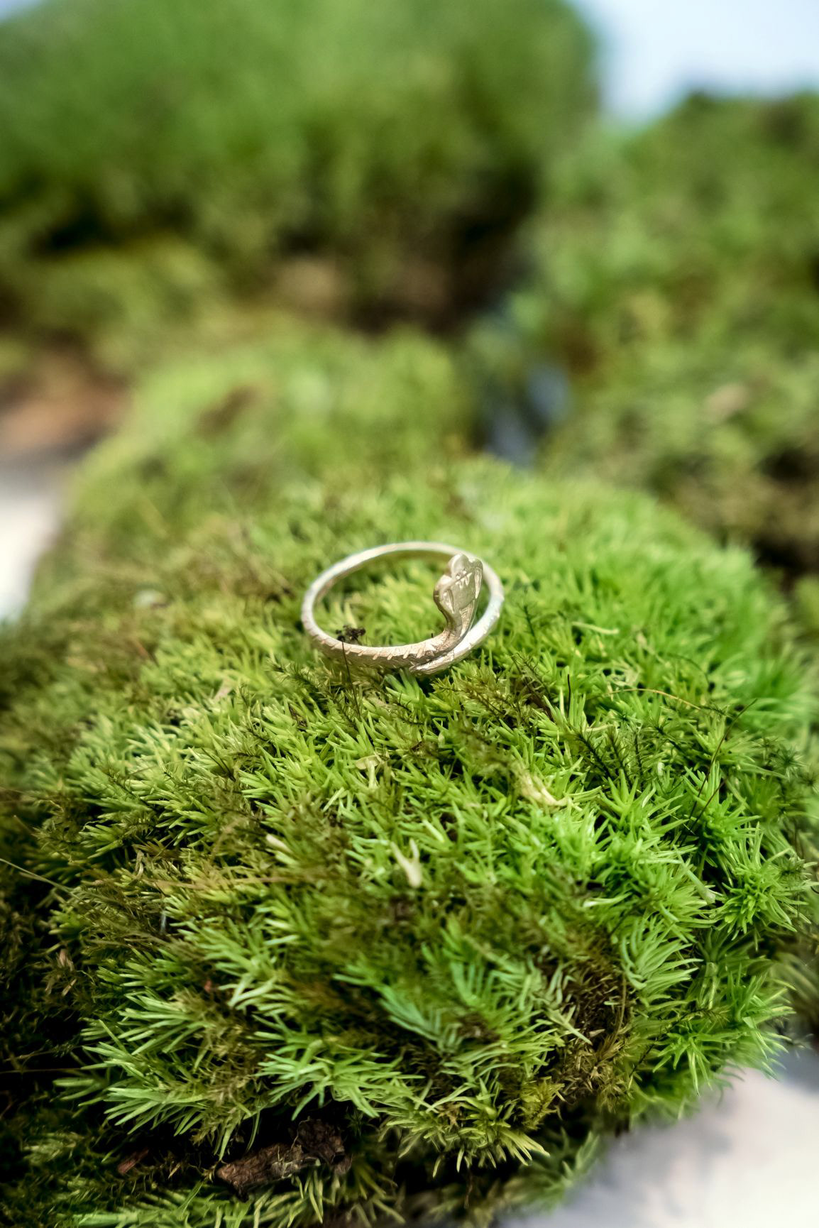 Bague Gentil Cobra en laiton doré - 32€