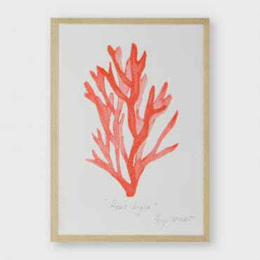 Gravure - 38€