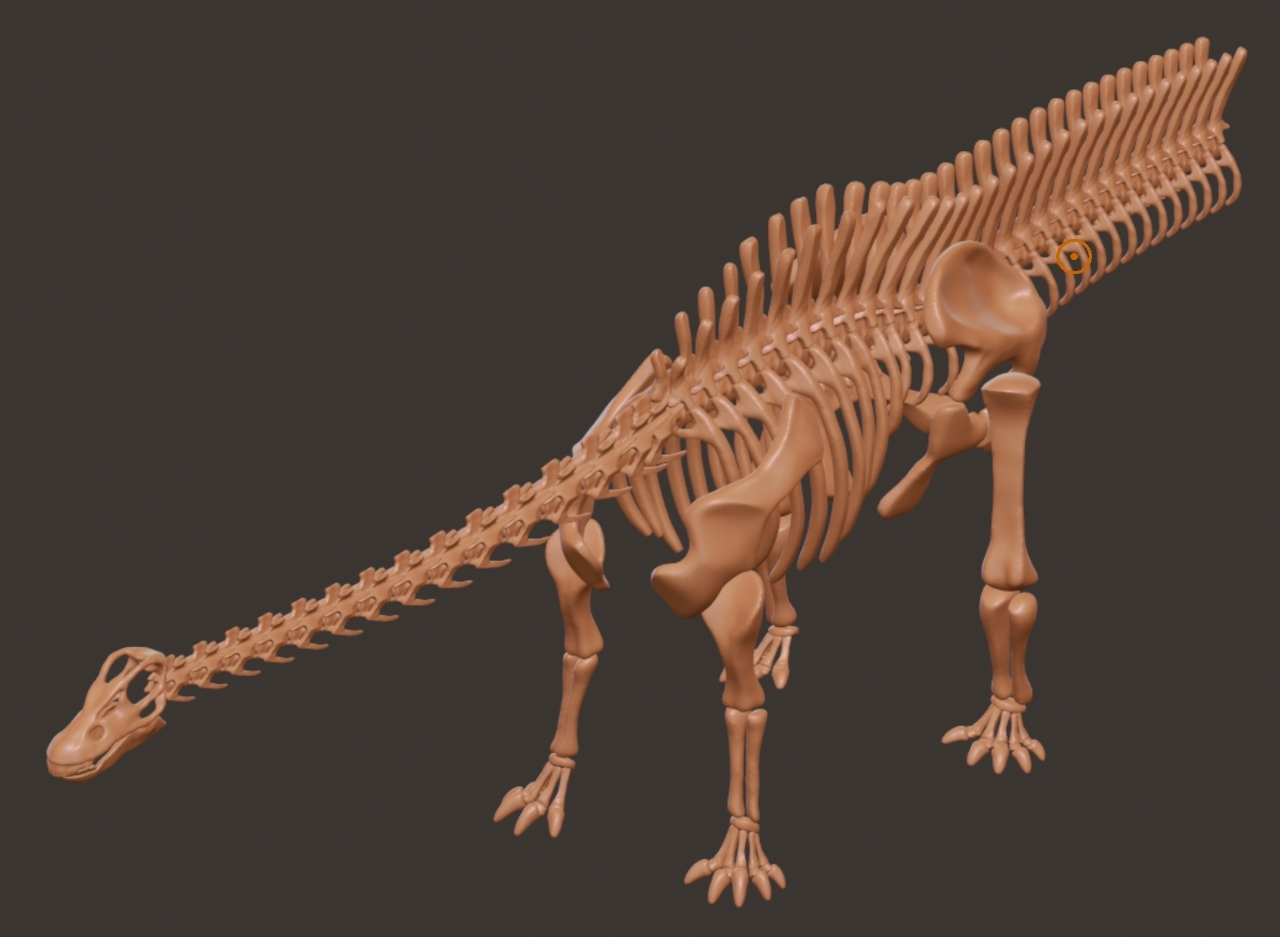Diplodocus fossil