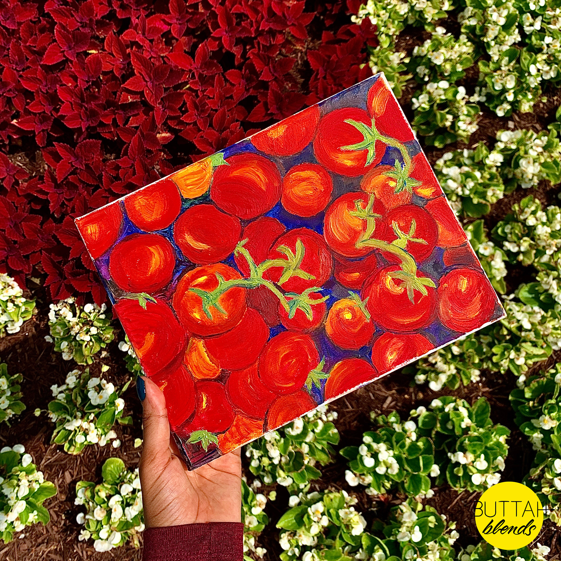 Tomatoes On Vine - Oil