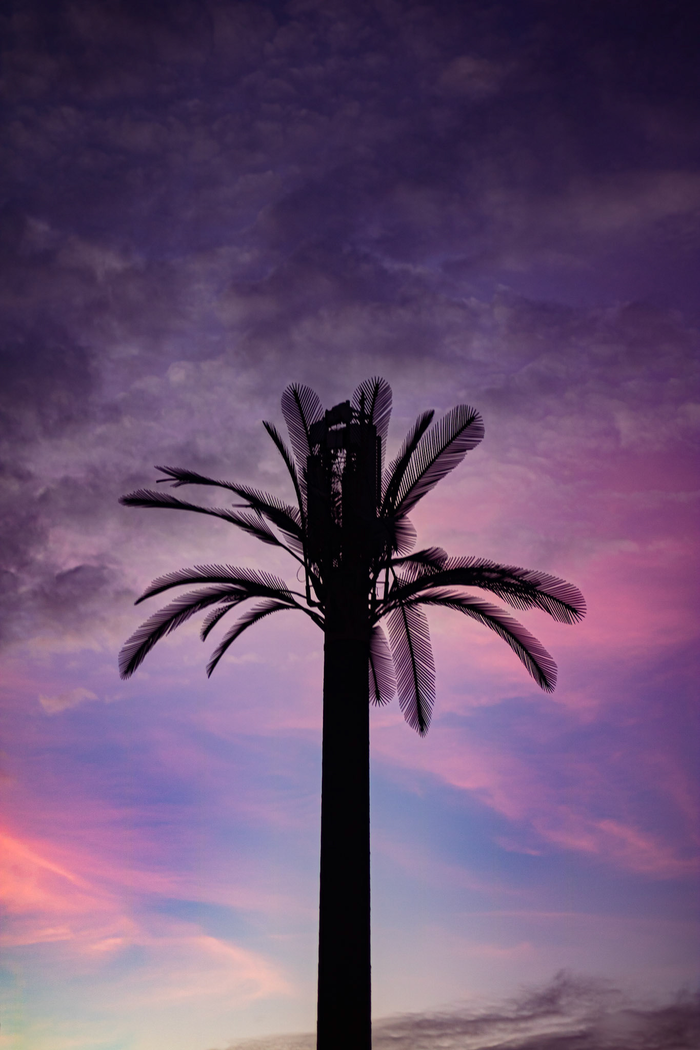 © Indigo With A Camera