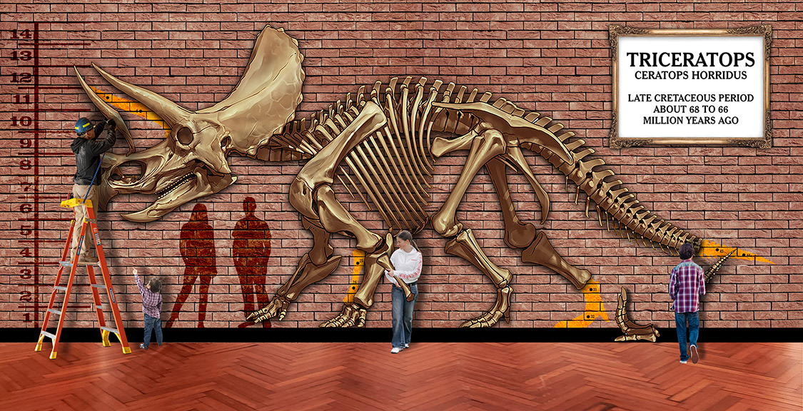 Educational Display Composition