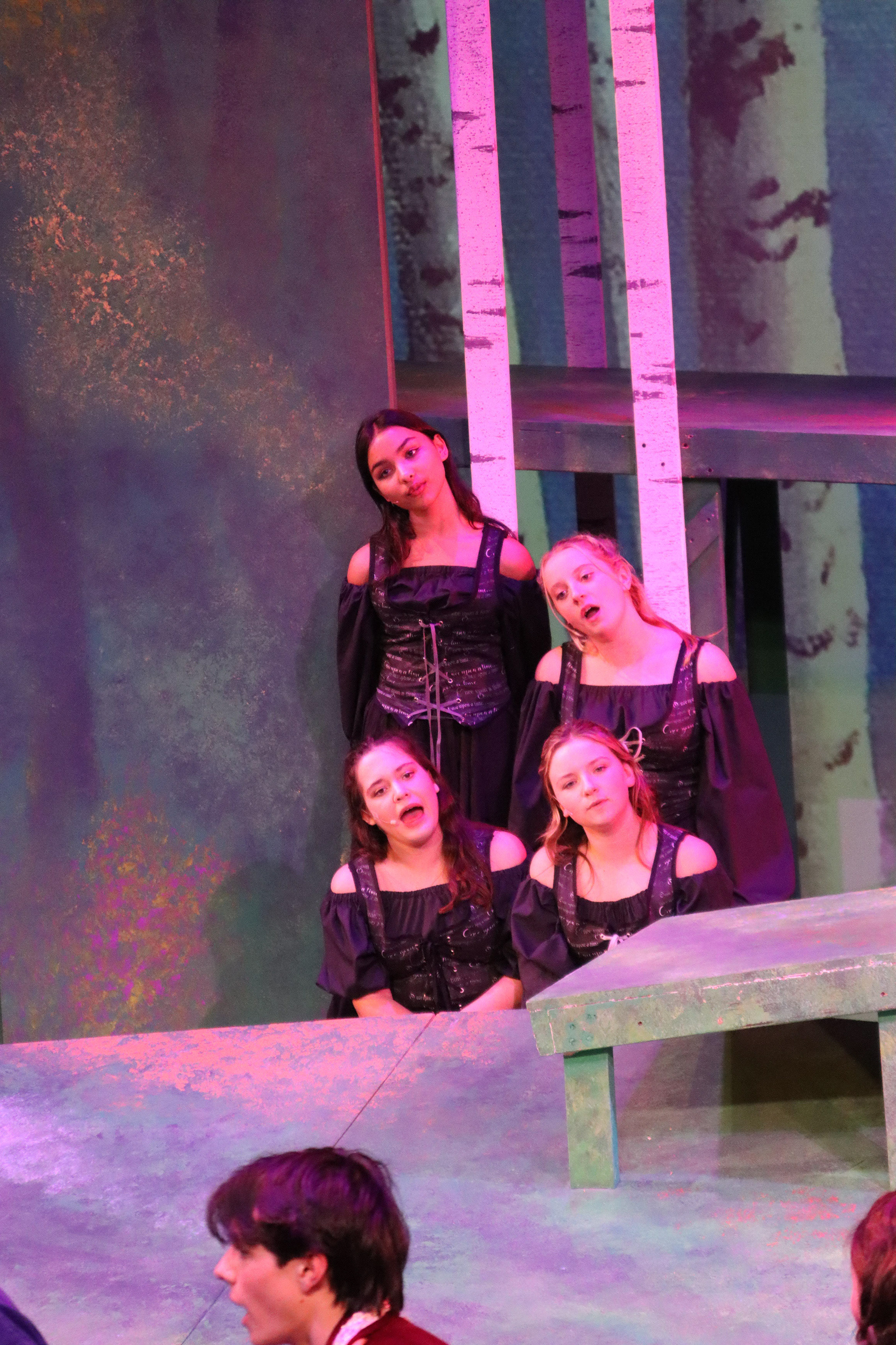 Stage Players (Added in as an ensemble to move set pieces and provide extra vocals)