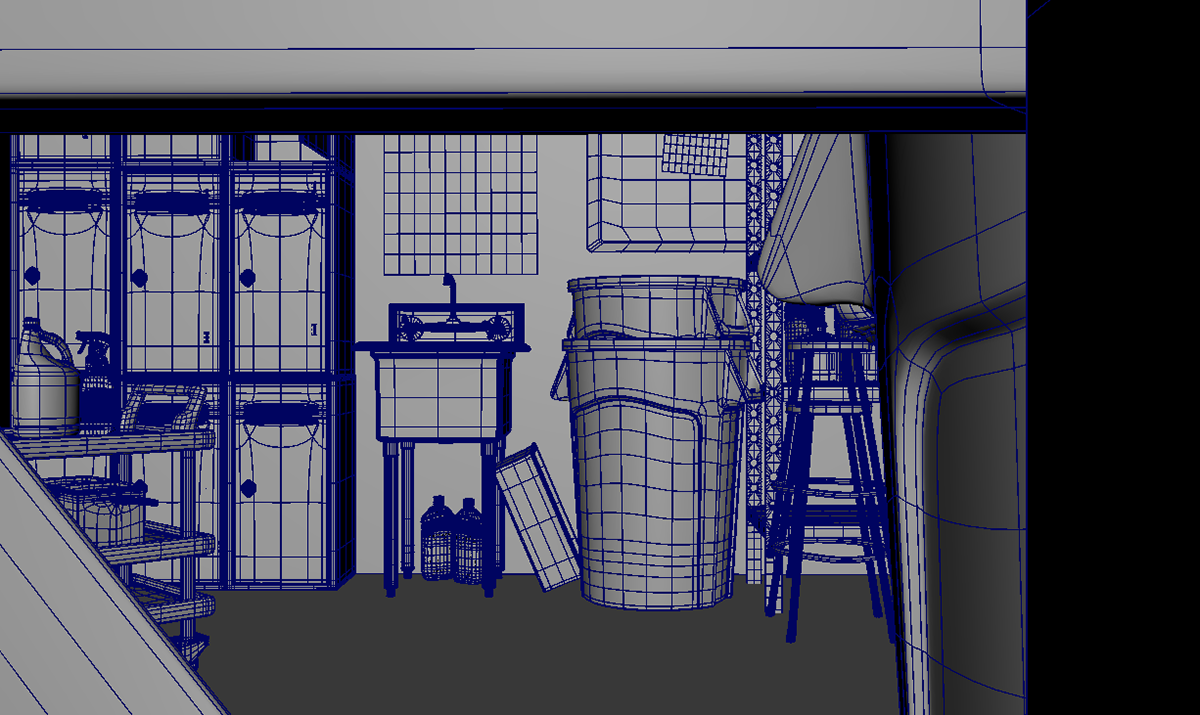 Wire Frame