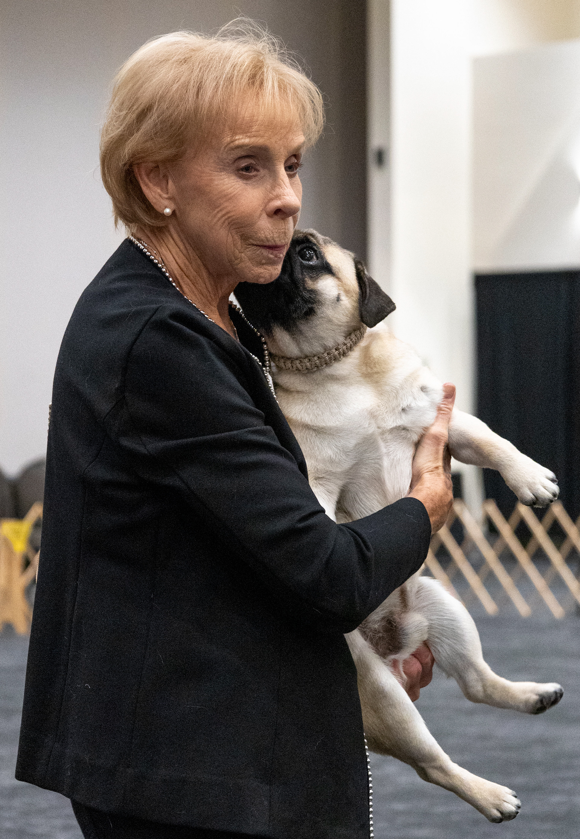 Caryl Ann Baxter holds Roxy, a 13-month-old pug, as she awaits her turn with the judge during the 2025 Pug Dog Club of America National Specialty Show at the Sloan Convention Center in Bowling Green, Kentucky. Baxter has shown pugs for 15 years, and authored a book about pugs entitled “Mimi: When I Get Big.”