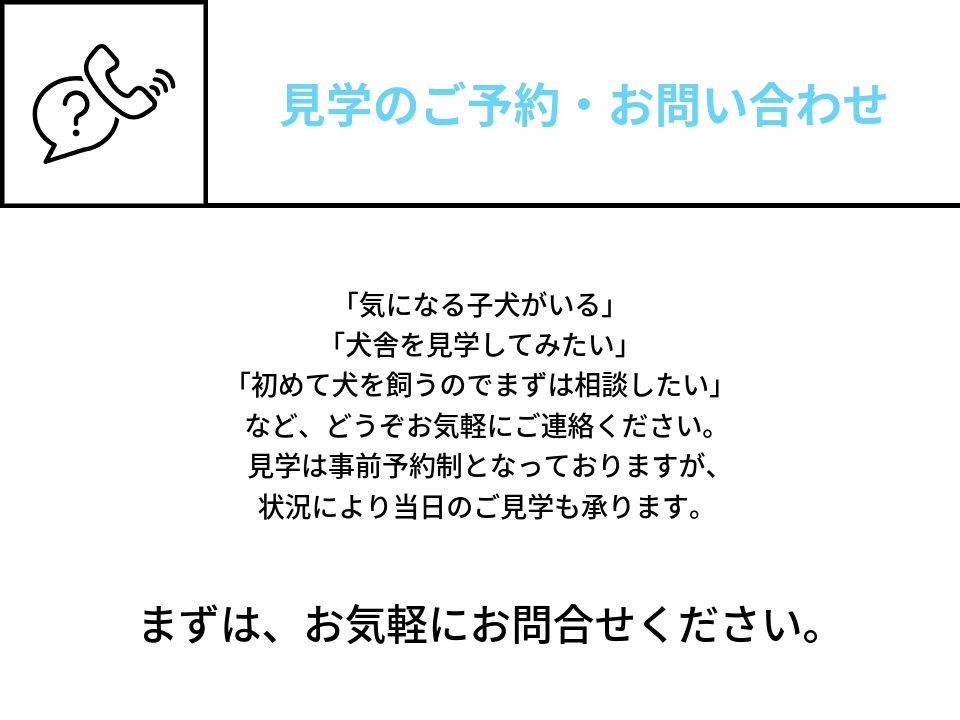 見学のご予約・お問い合わせ。気になる子犬がいる。犬舎を見学してみたい。初めて犬を飼うのでまずは相談したい。など、どうぞ気軽にご連絡ください。見学は事前予約制となっておりますが、状況により当日のご見学も承ります。