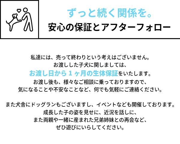 私達には、売って終わりという考えはございません。 お渡しした子犬に関しましては、 お渡し日から1ヶ月の生体保証をいたします。 お渡し後も、様々なご相談に乗っておりますので、 気になることや不安なことなど、何でも気軽にご連絡ください。  また犬舎にドッグランもございますし、イベントなども開催しております。成長した子の姿を見せに、近況を話しに、 また両親や一緒に産まれた兄弟姉妹との再会など、 ぜひ遊びにいらしてください。