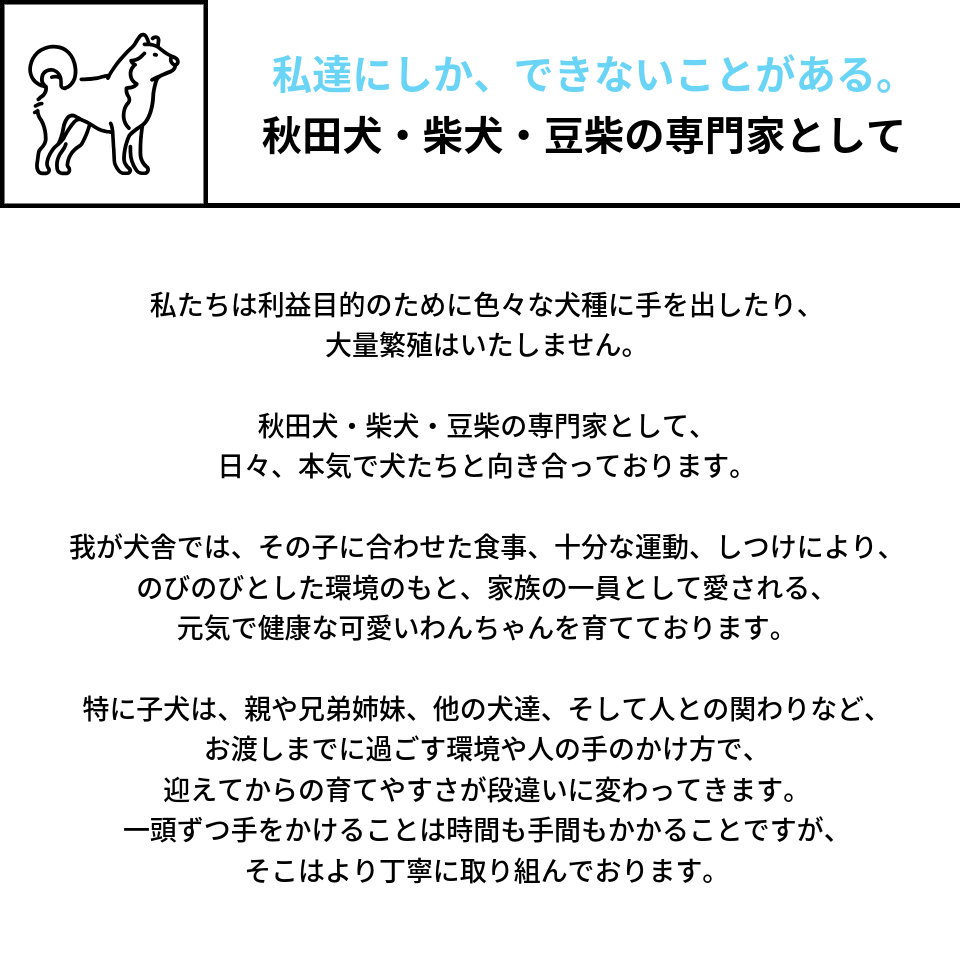 私たちは利益目的のために色々な犬種に手を出したり、 大量繁殖はいたしません。  秋田犬・柴犬・豆柴の専門家として、 日々、本気で犬たちと向き合っております。  我が犬舎では、その子に合わせた食事、十分な運動、しつけにより、 のびのびとした環境のもと、家族の一員として愛される、 元気で健康な可愛いわんちゃんを育てております。  特に子犬は、親や兄弟姉妹、他の犬達、そして人との関わりなど、 お渡しまでに過ごす環境や人の手のかけ方で、 迎えてからの育てやすさが段違いに変わってきます。 一頭ずつ手をかけることは時間も手間もかかることですが、 そこはより丁寧に取り組んでおります。