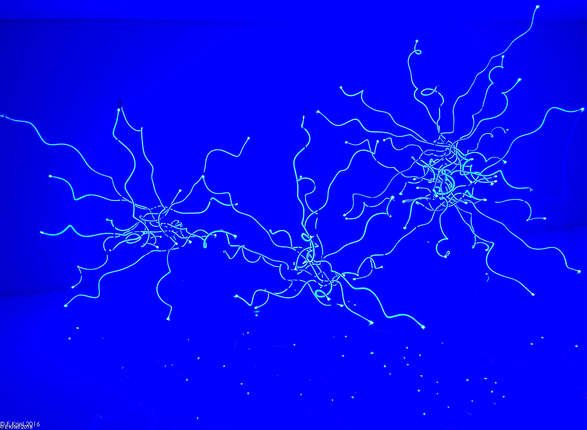 Chihuly