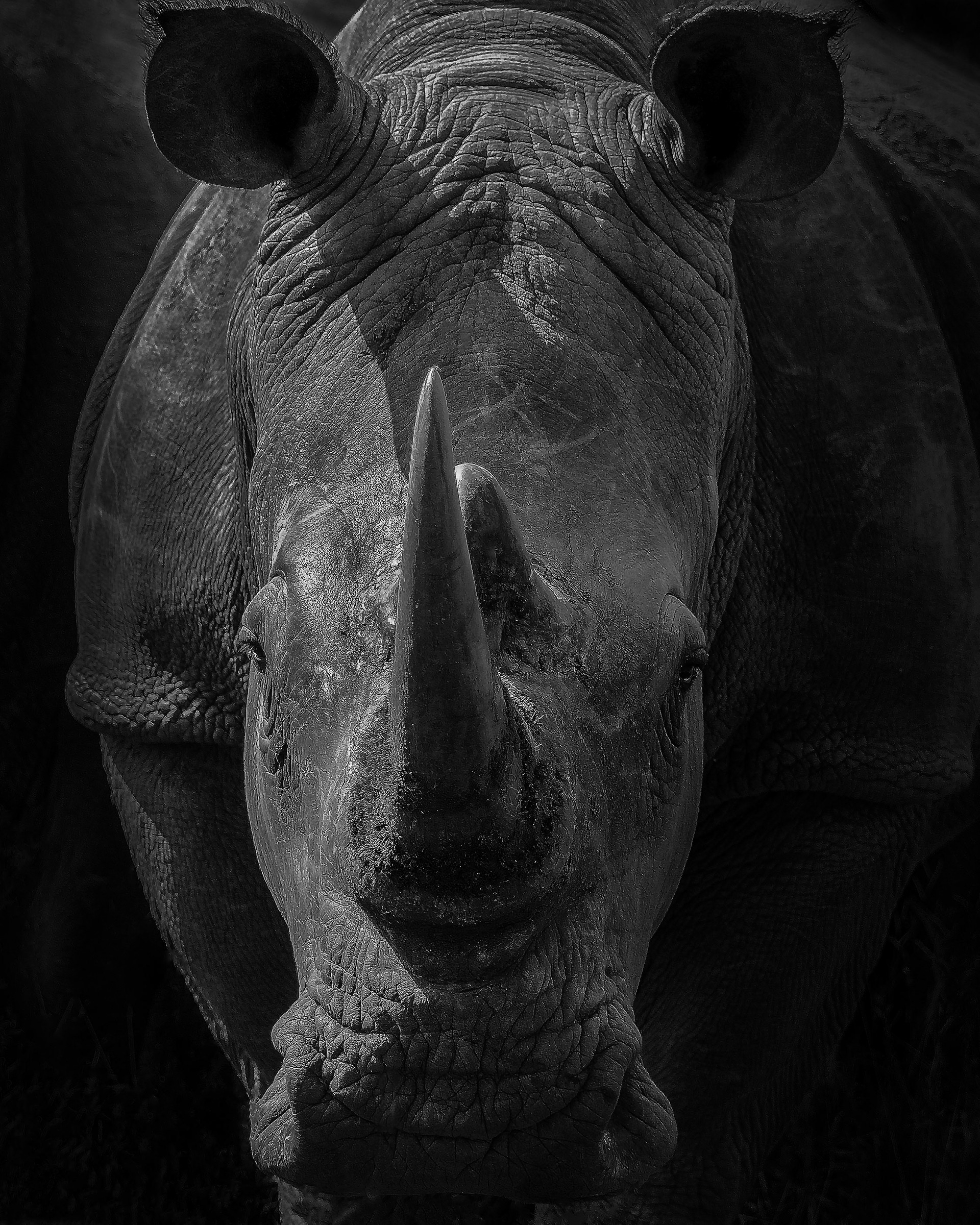 Kruger National Park